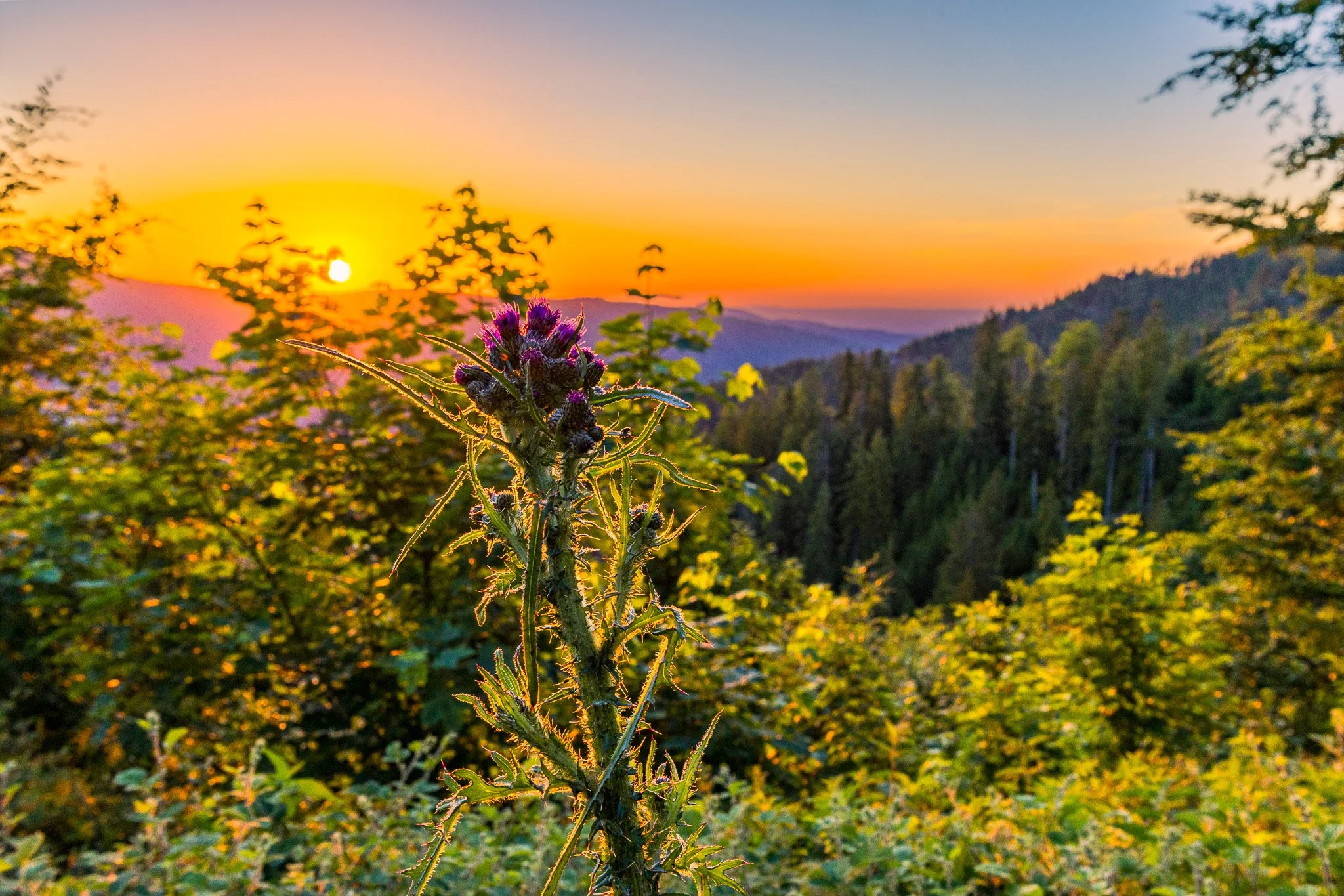 IMG_0743-HDR.jpg