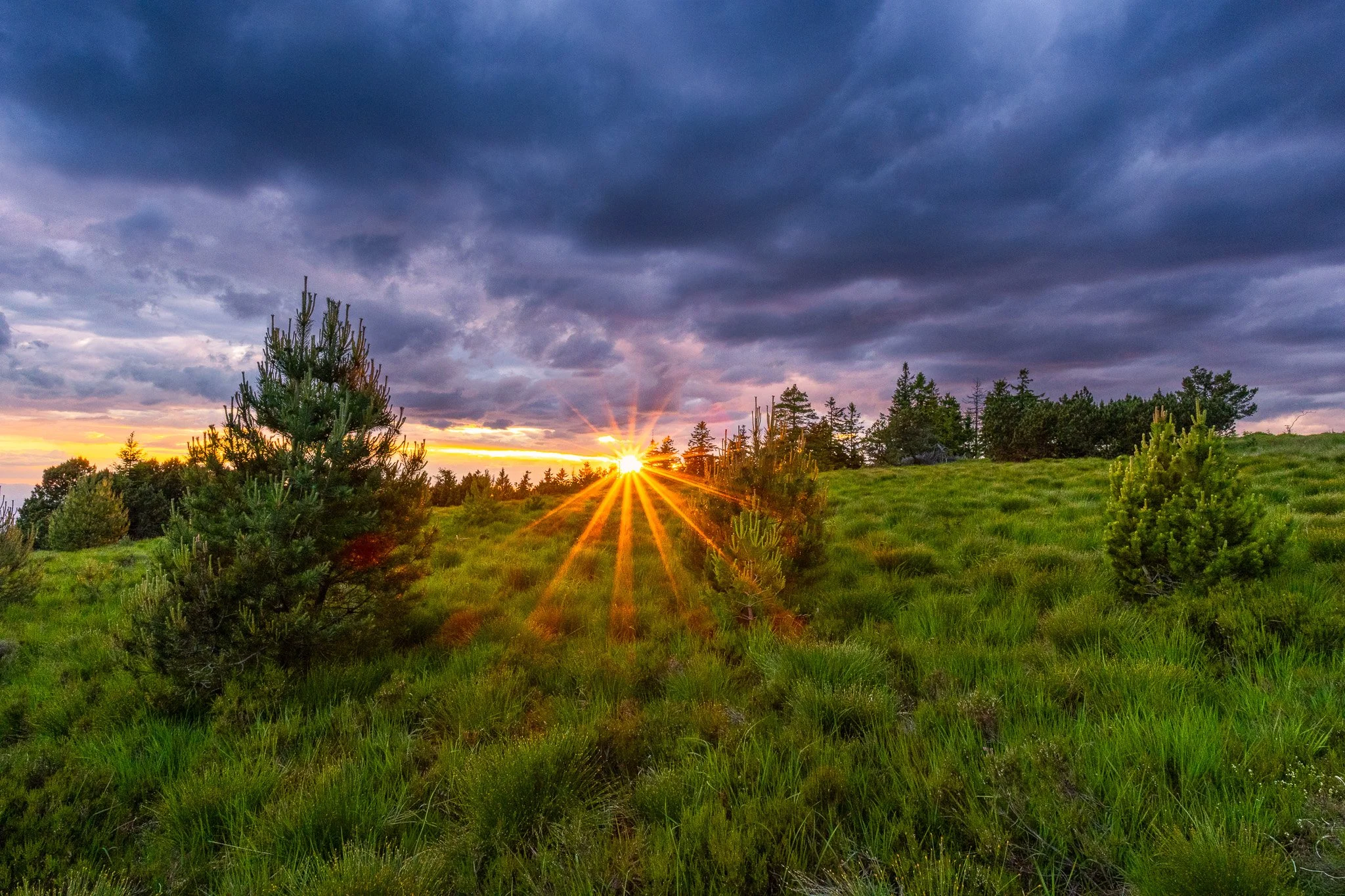 IMG_1043-HDR.jpg