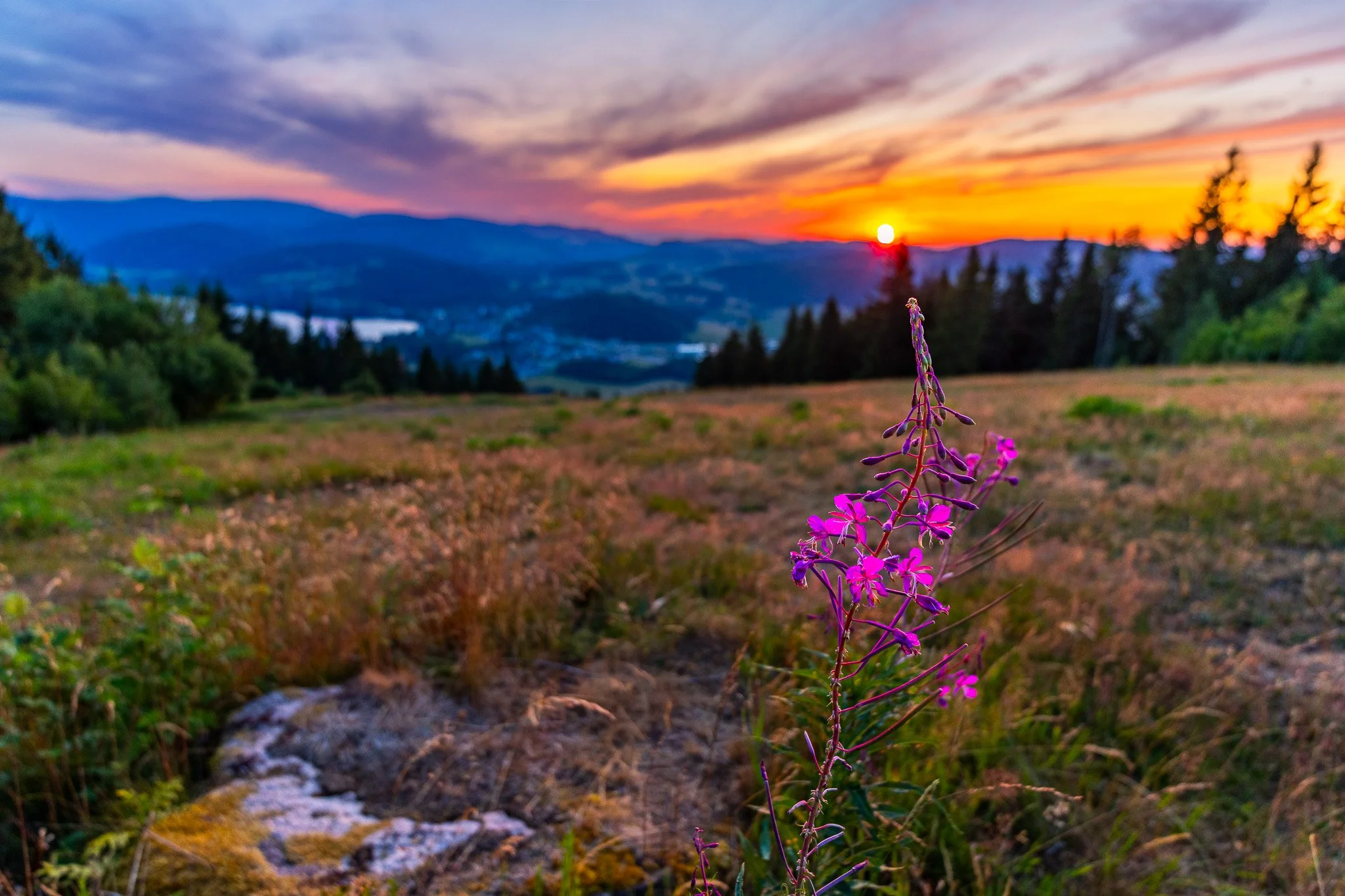 IMG_2939-HDR.jpg