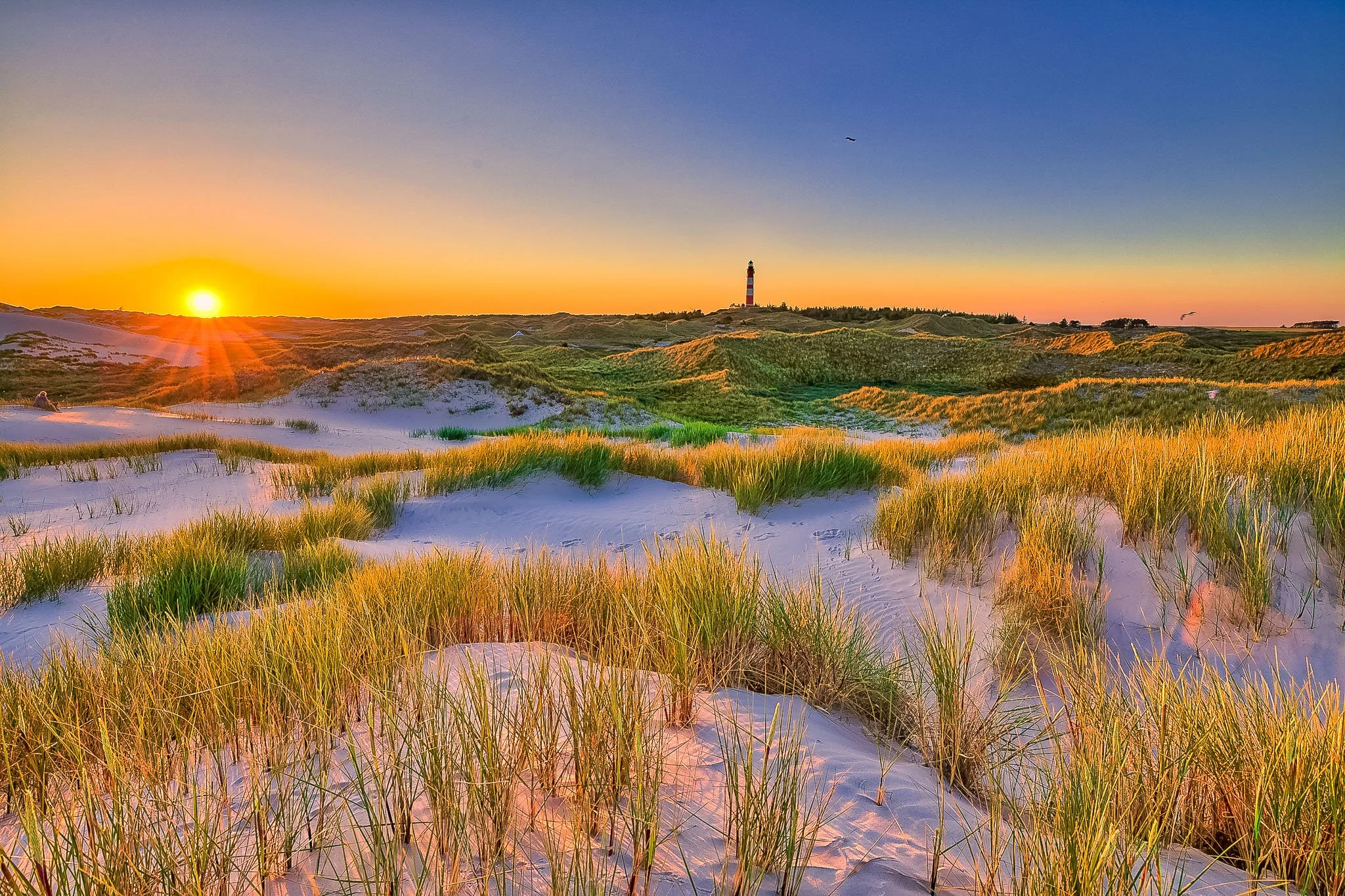 Leuchtturm in den Dünen