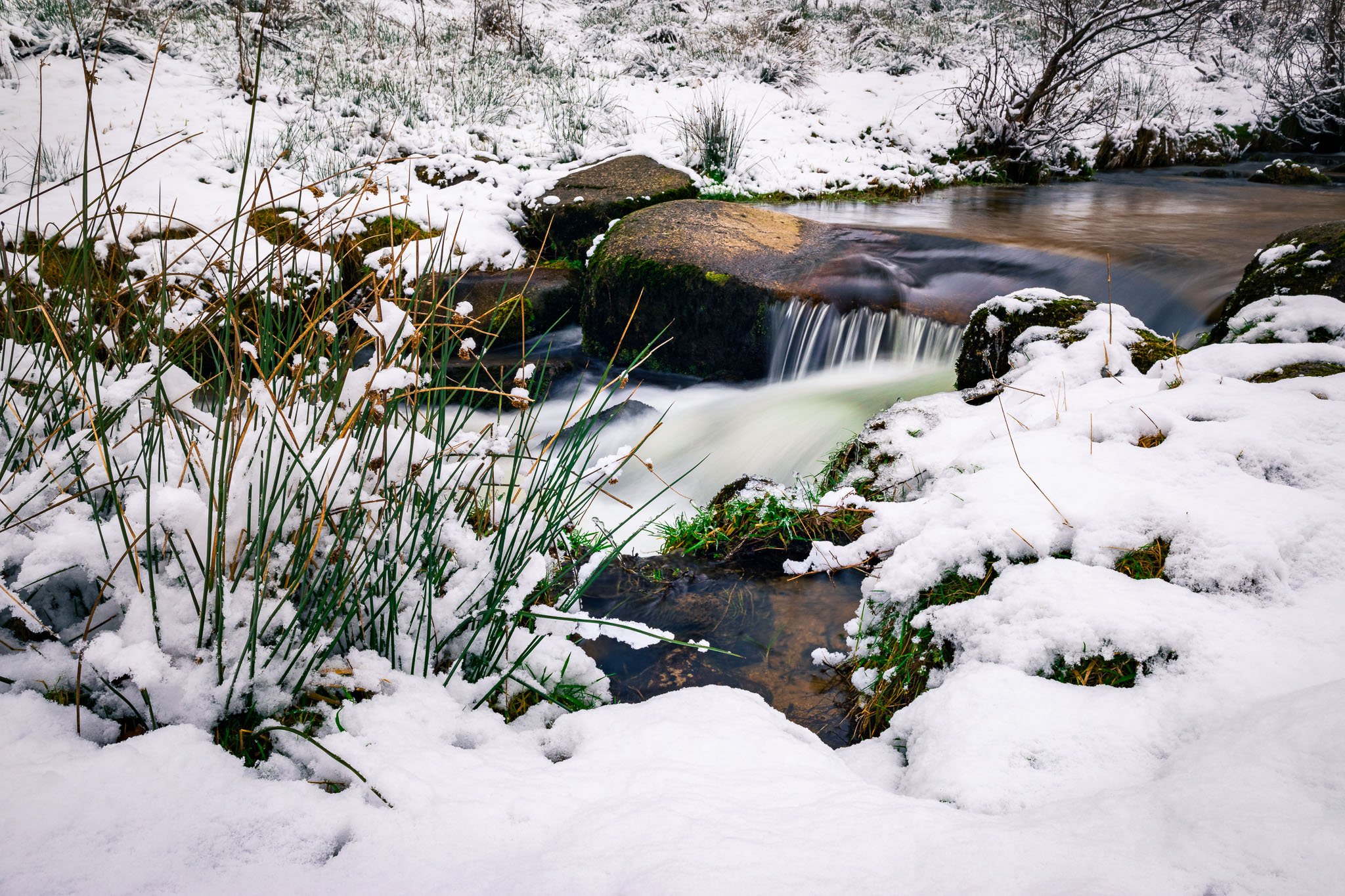 RY7A2215-HDR.jpg