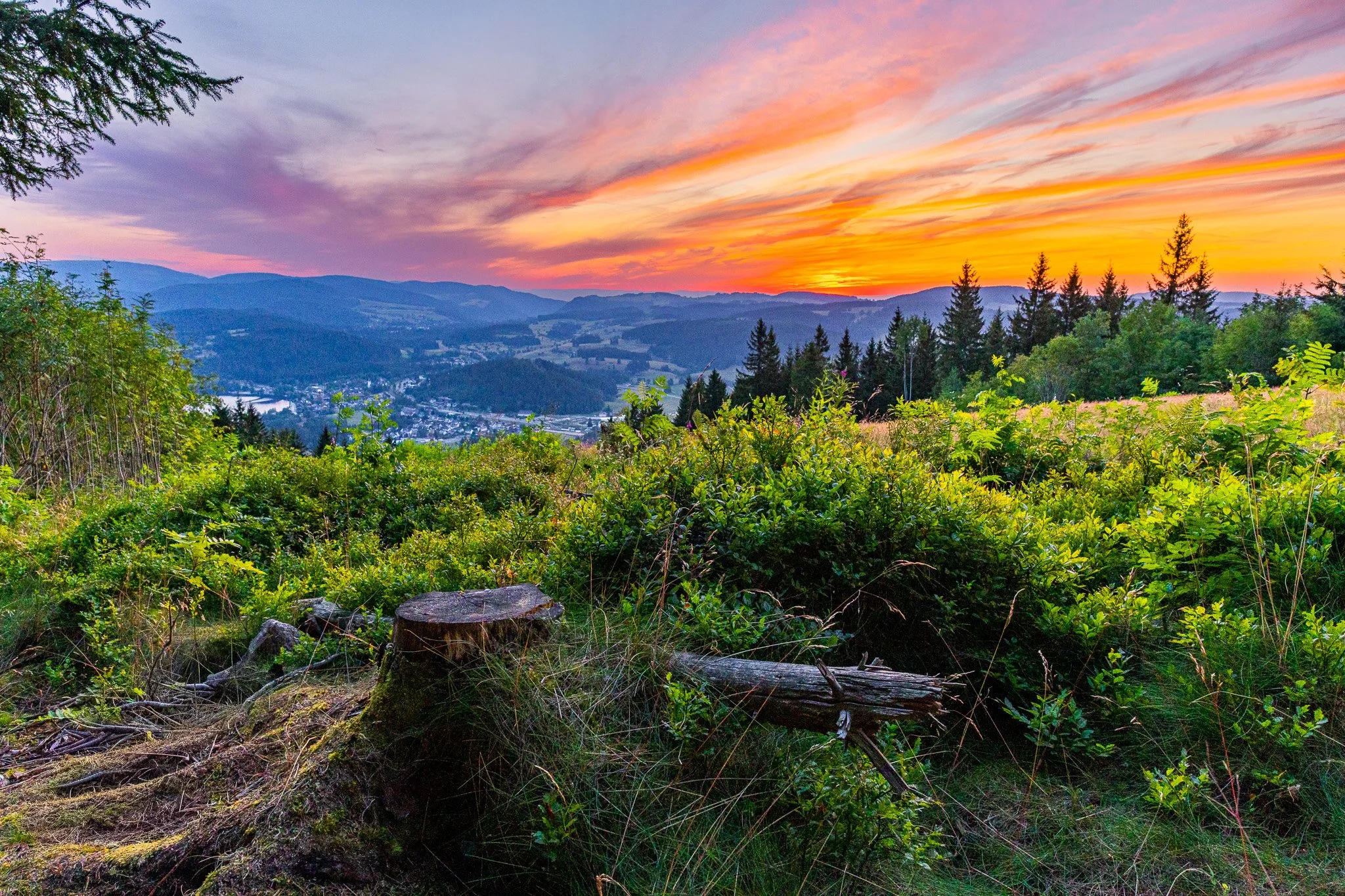 IMG_2957-HDR.jpg
