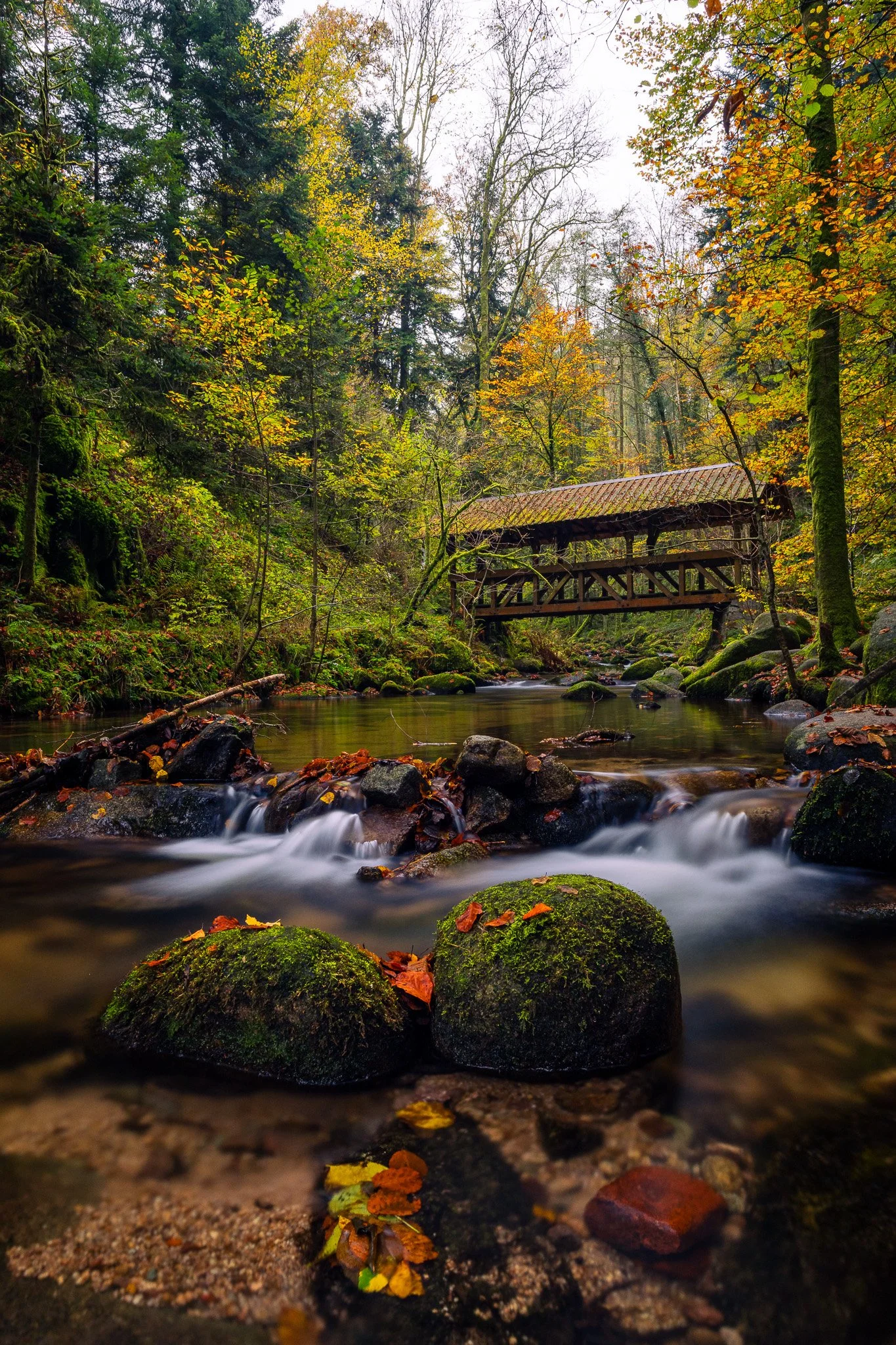 Brücke im letzten Licht (Hochformat)