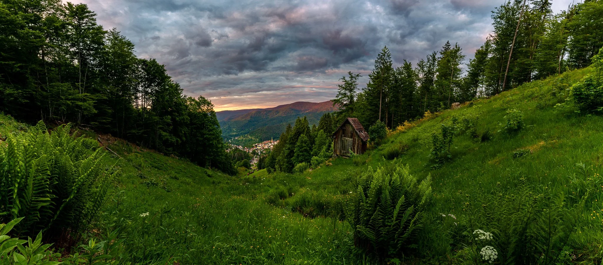RY7A4661-Pano-Pano.jpg