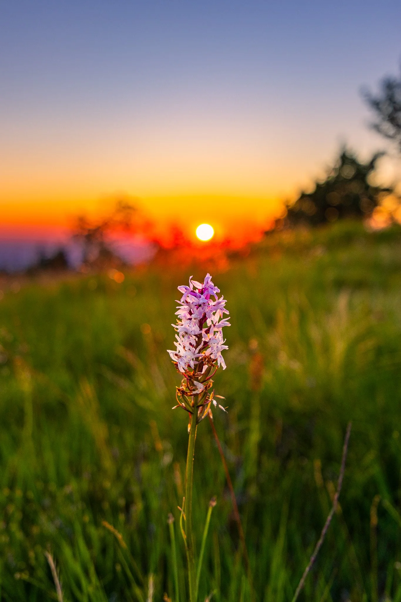 IMG_2332-HDR.jpg
