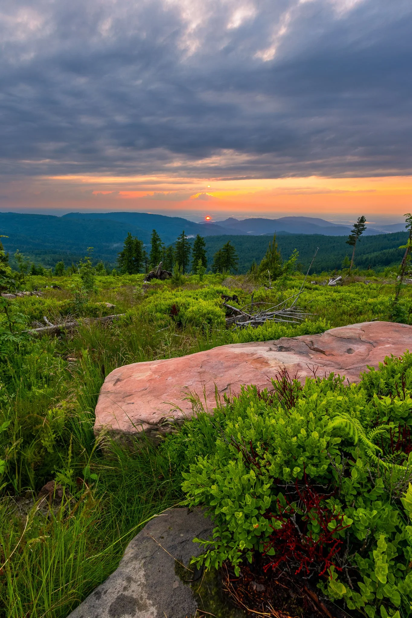 RY7A4829-HDR.jpg