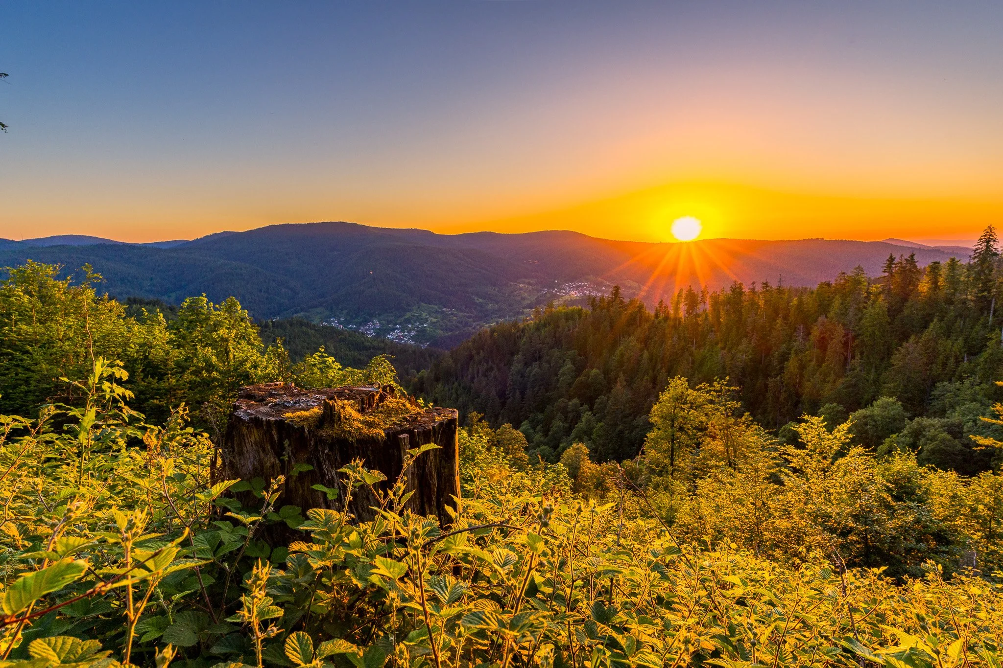IMG_0721-HDR.jpg
