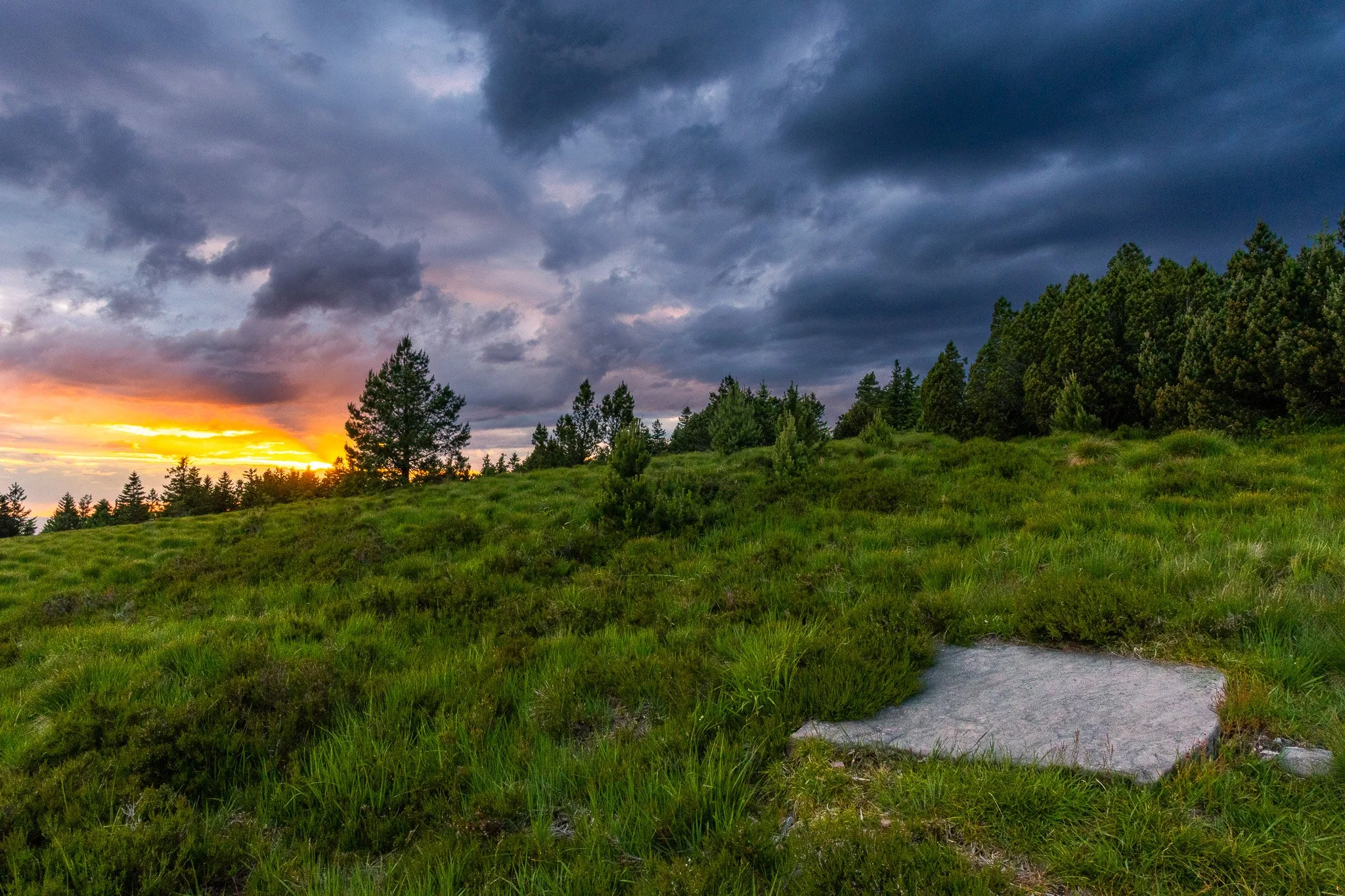 IMG_1076-HDR.jpg