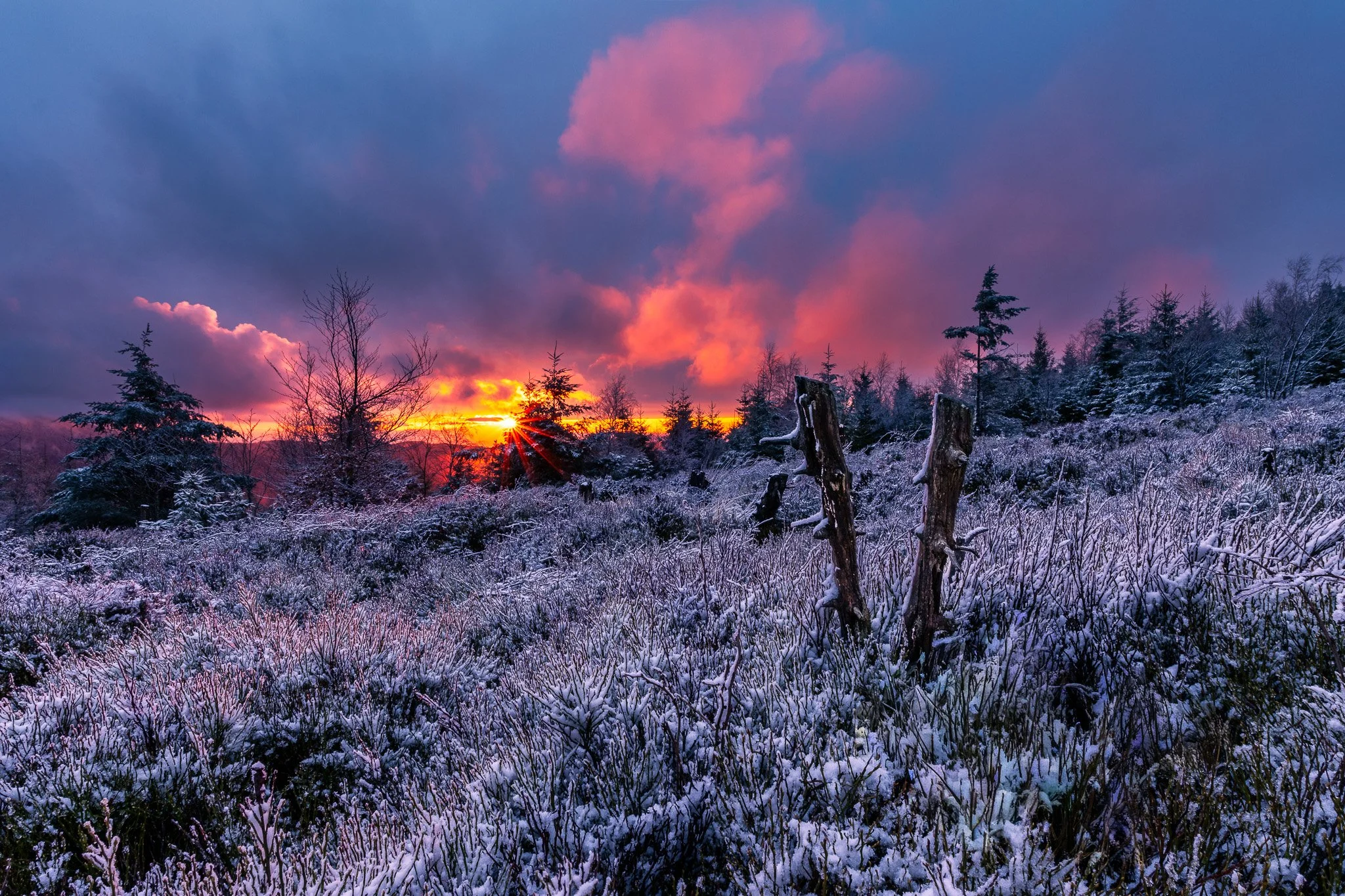 RY7A9220-HDR.jpg
