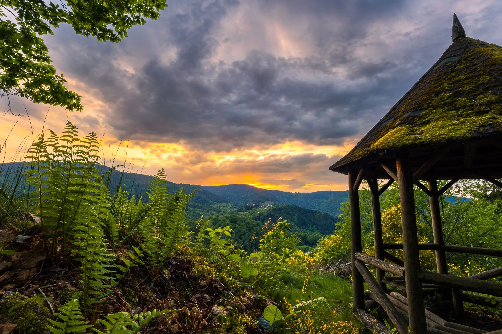 RY7A4164-HDR.jpg