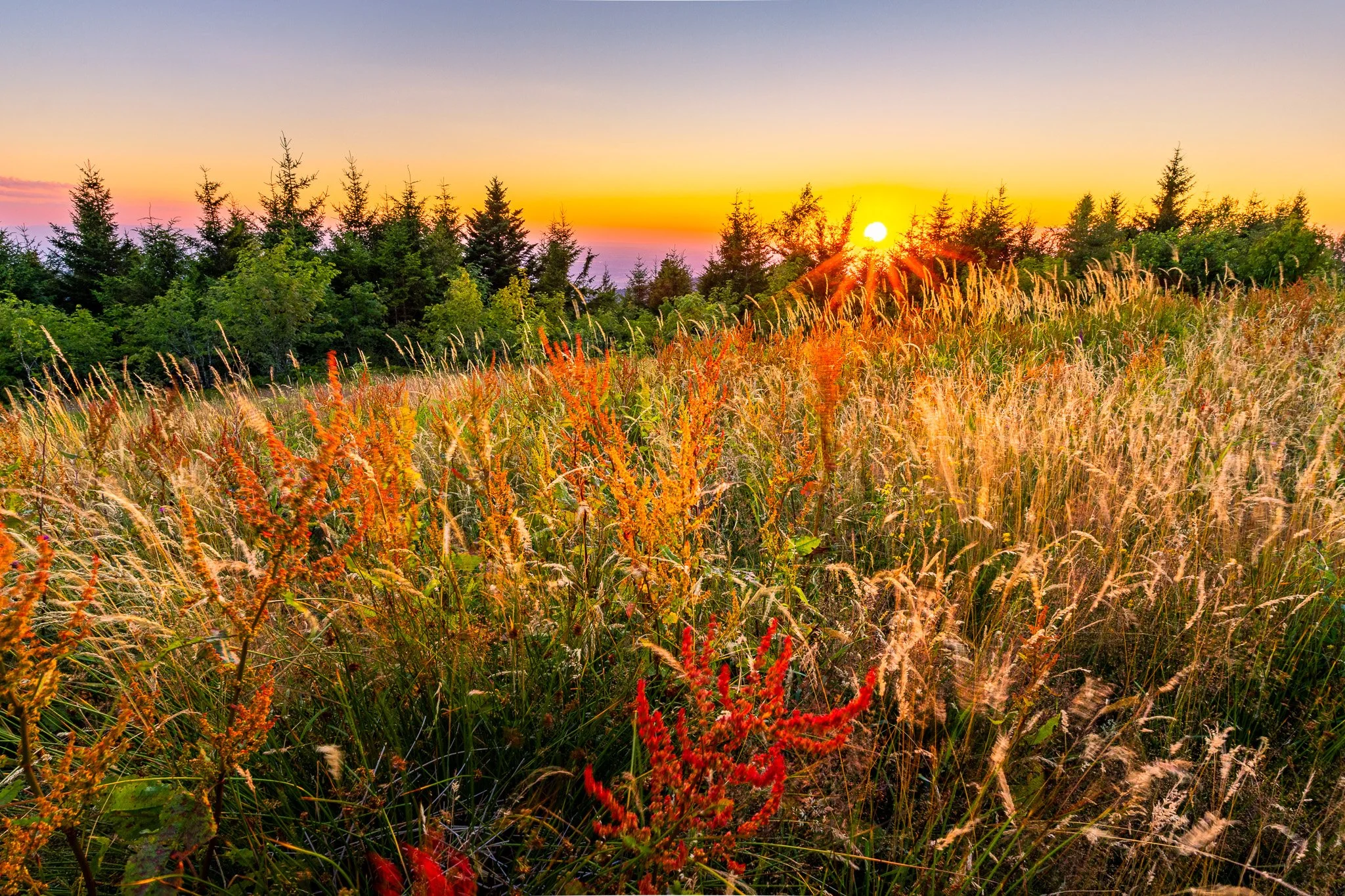 IMG_2320-HDR.jpg