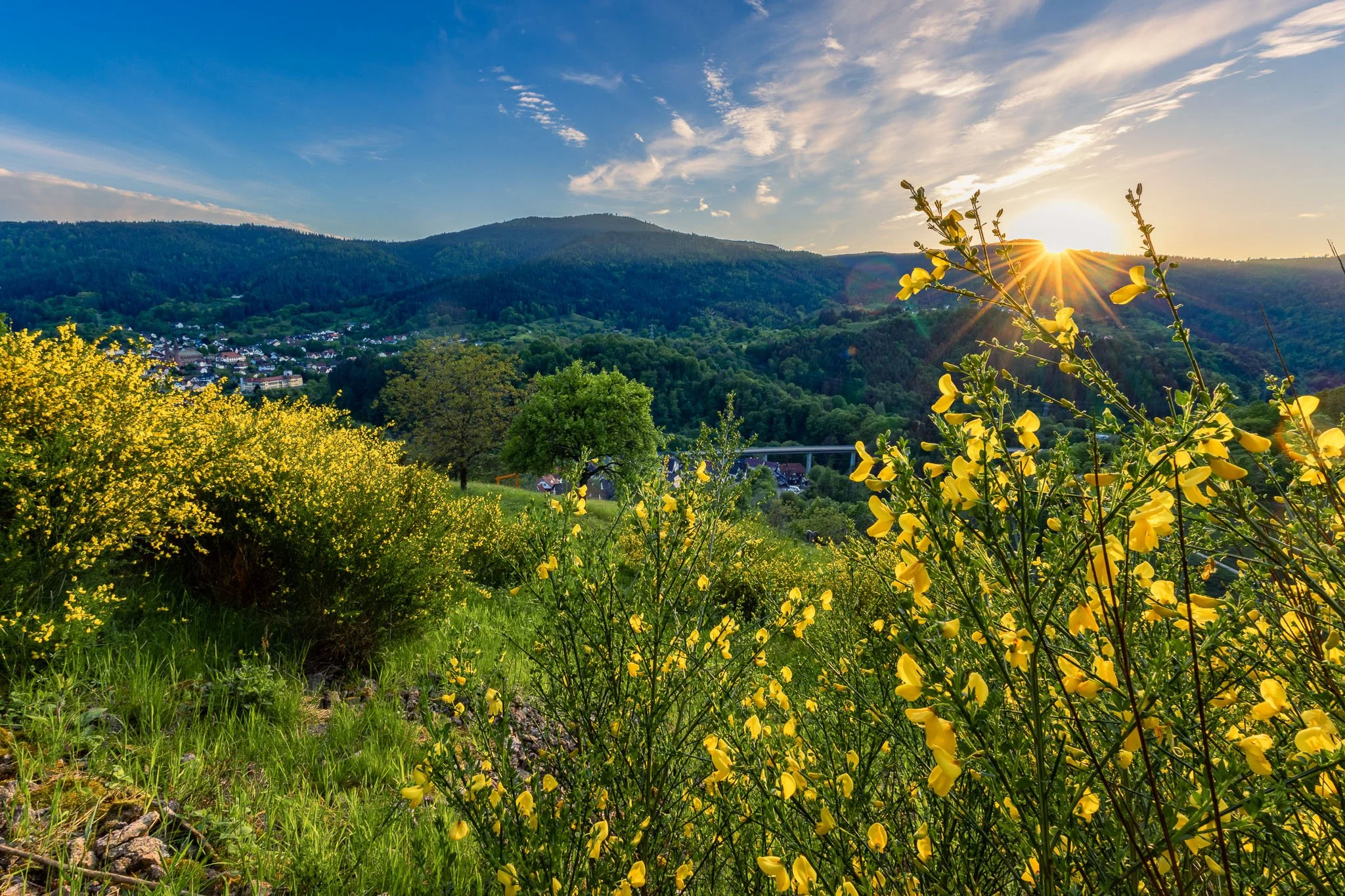 RY7A4226-HDR.jpg