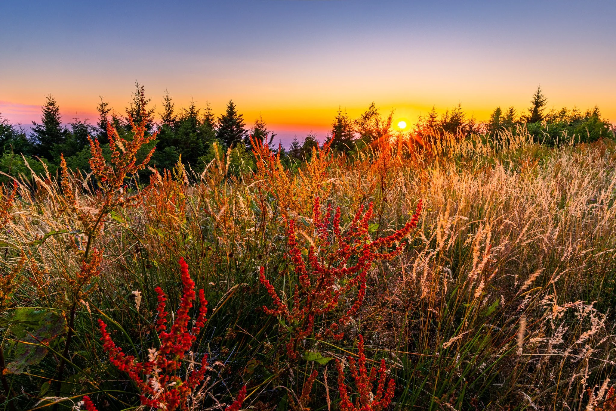 IMG_2317-HDR.jpg