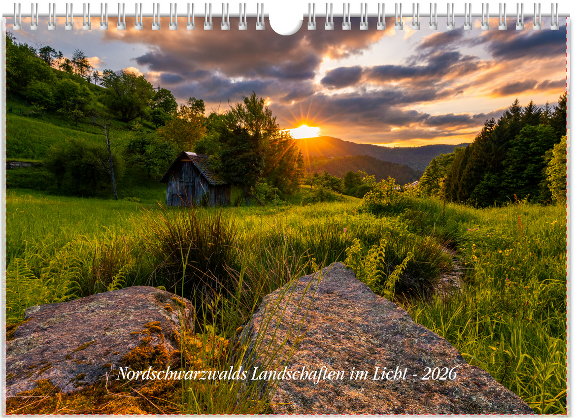 Screenshot 2025-11-11 100606.png