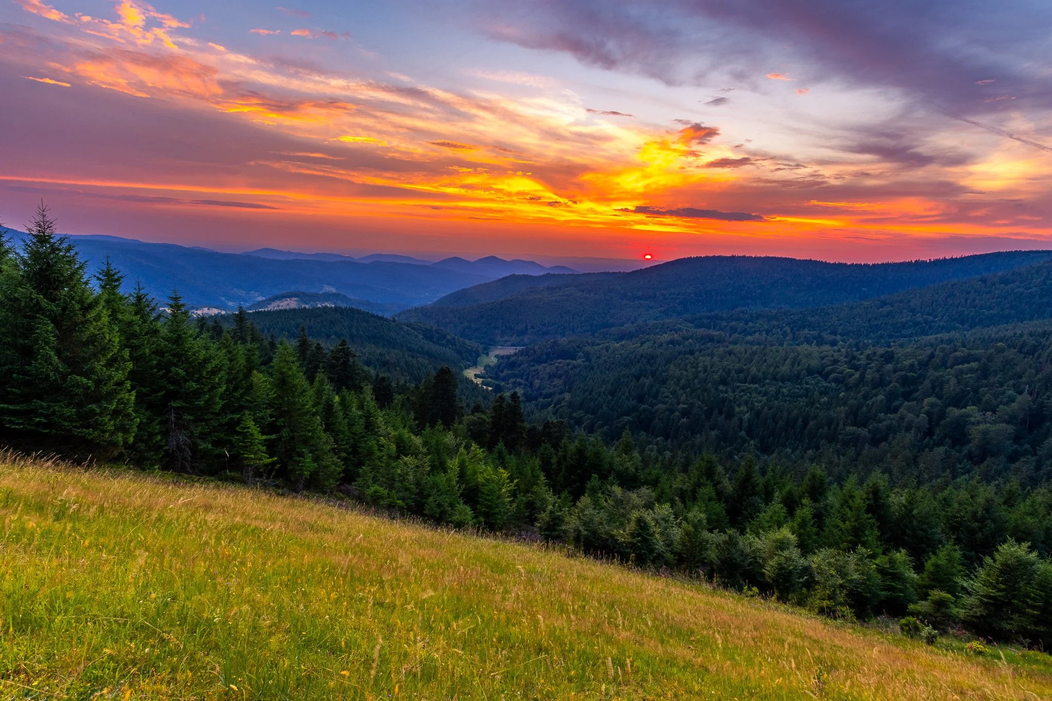 IMG_1704-HDR.jpg