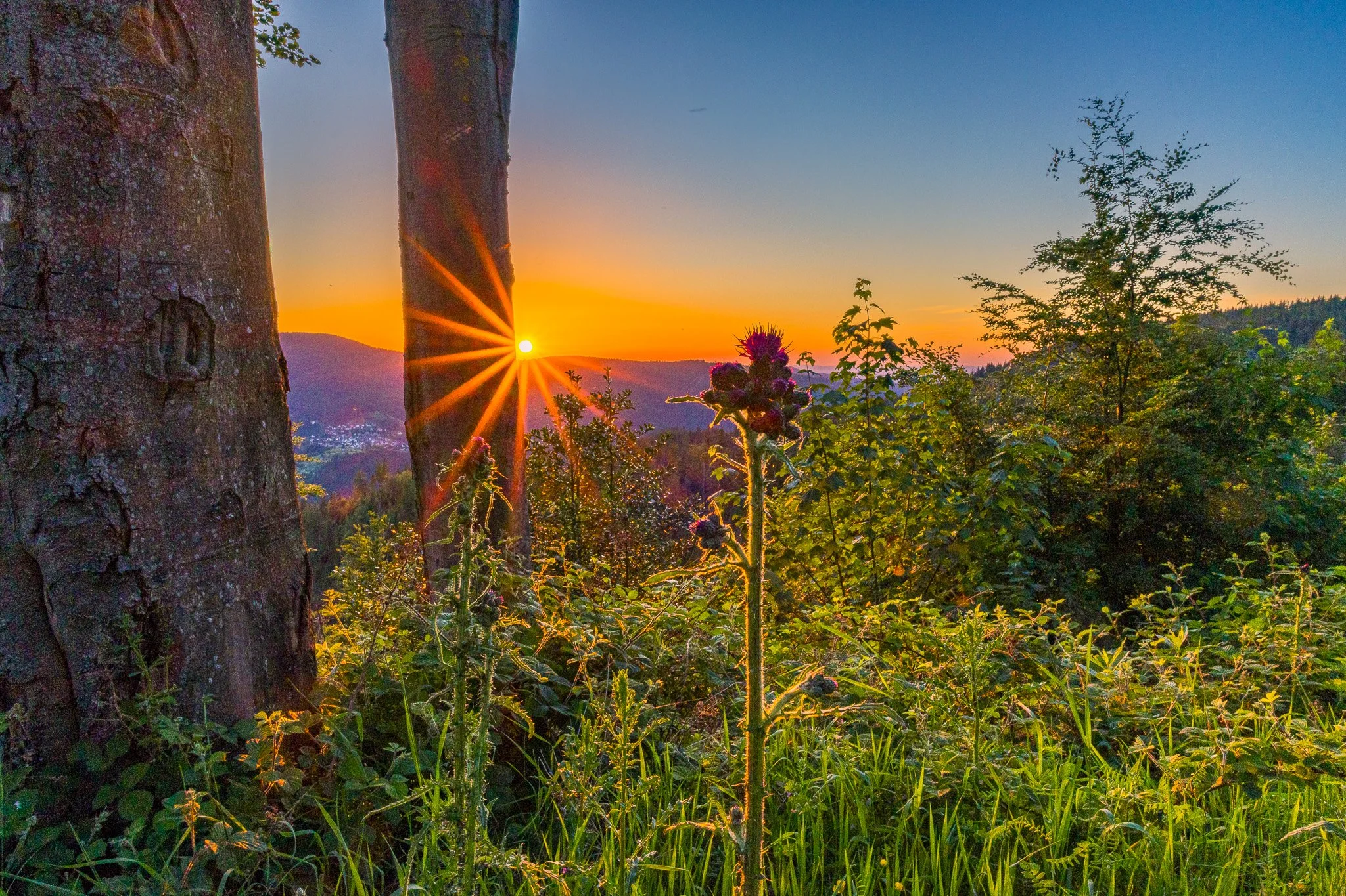 IMG_0749-HDR.jpg