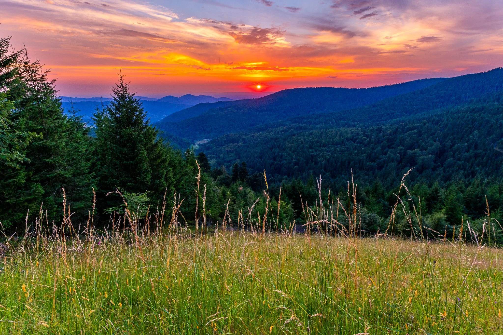 IMG_1620-HDR.jpg