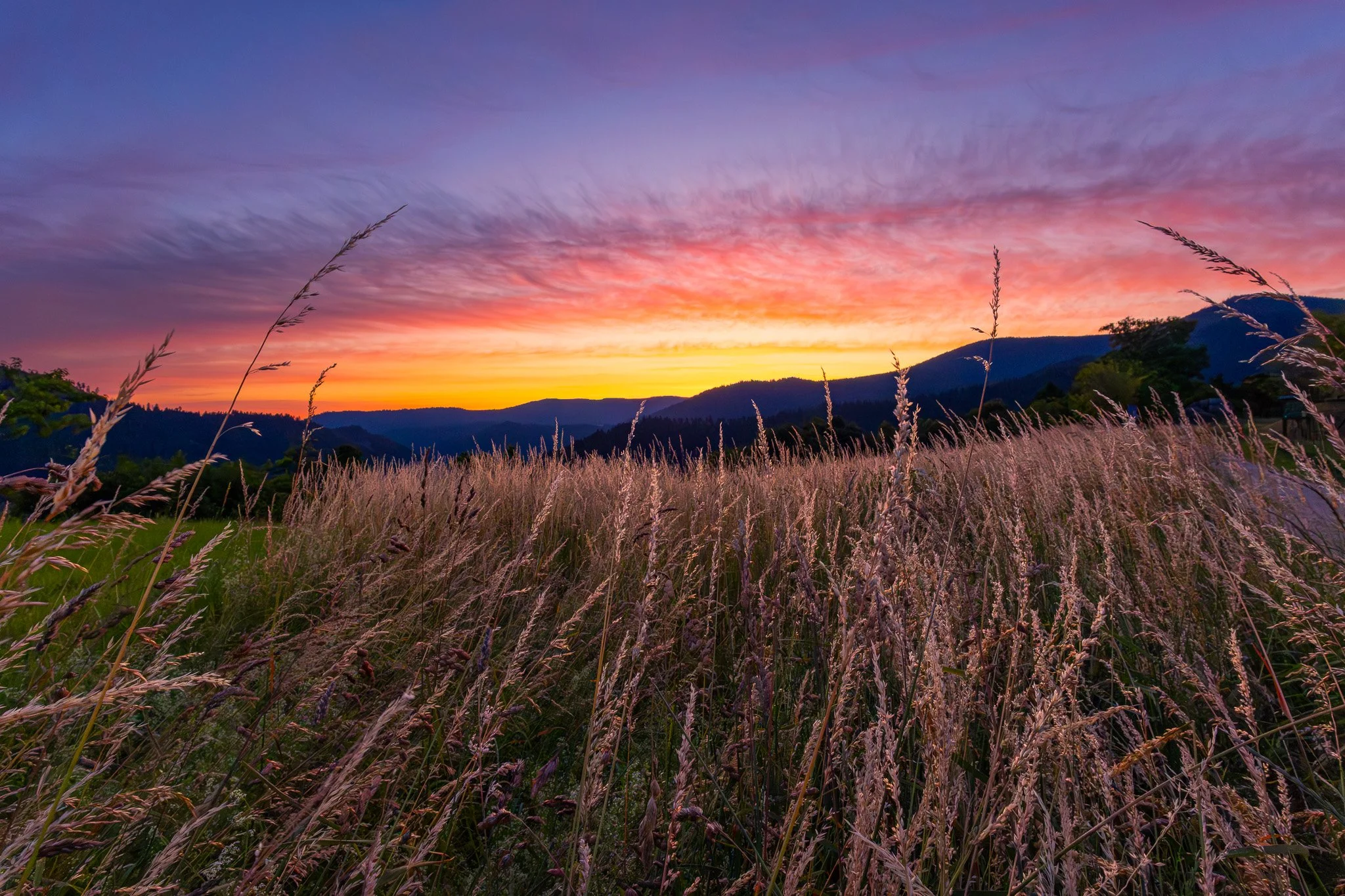 Feld im Morgenrot (Querformat)