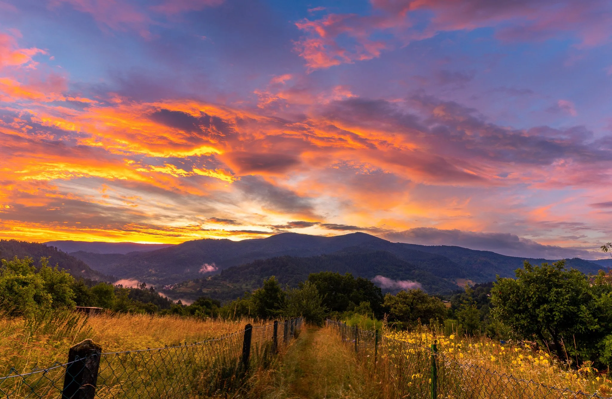 RY7A5393-Pano.jpg