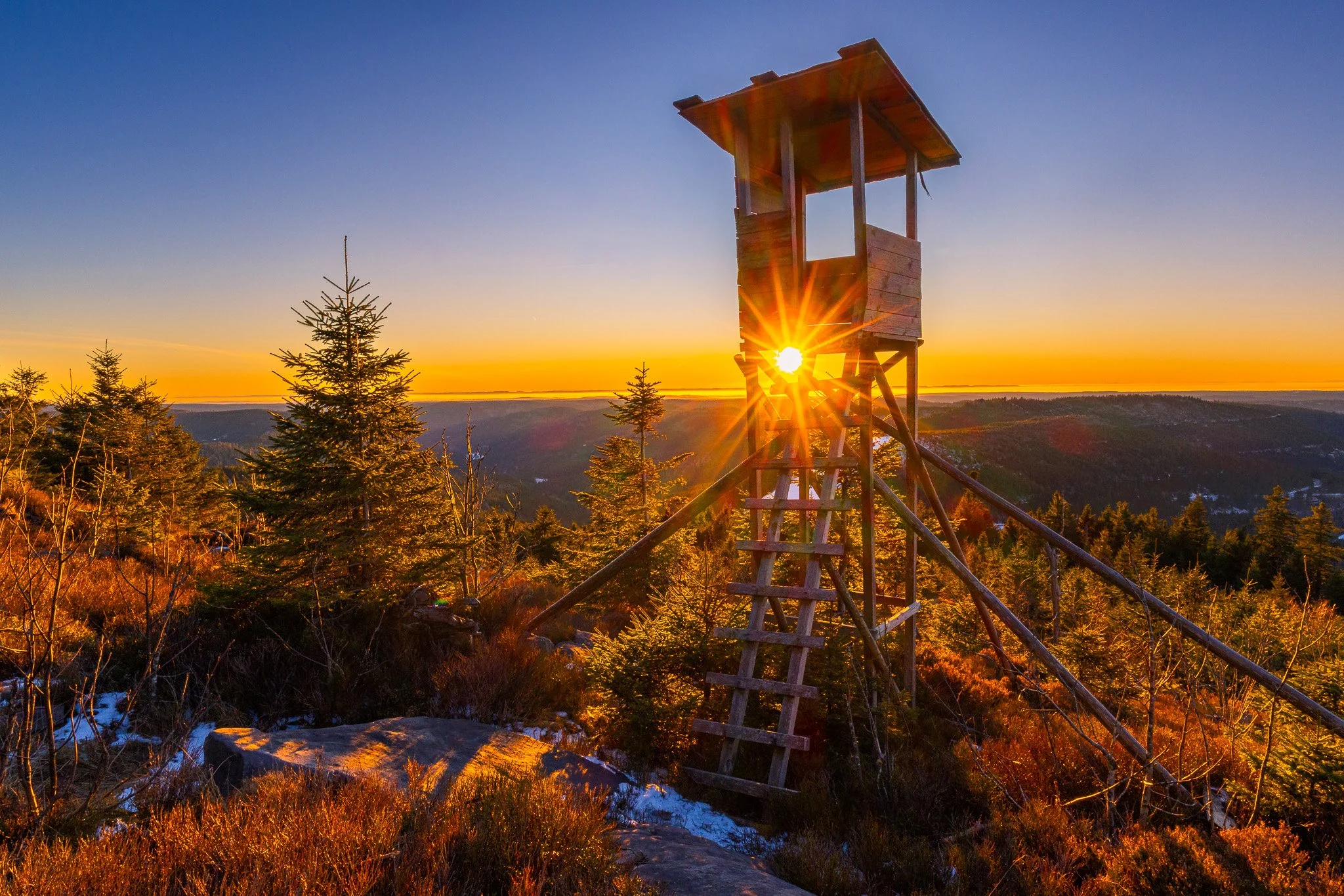 Hochsitz am Morgen 4 (Querformat)