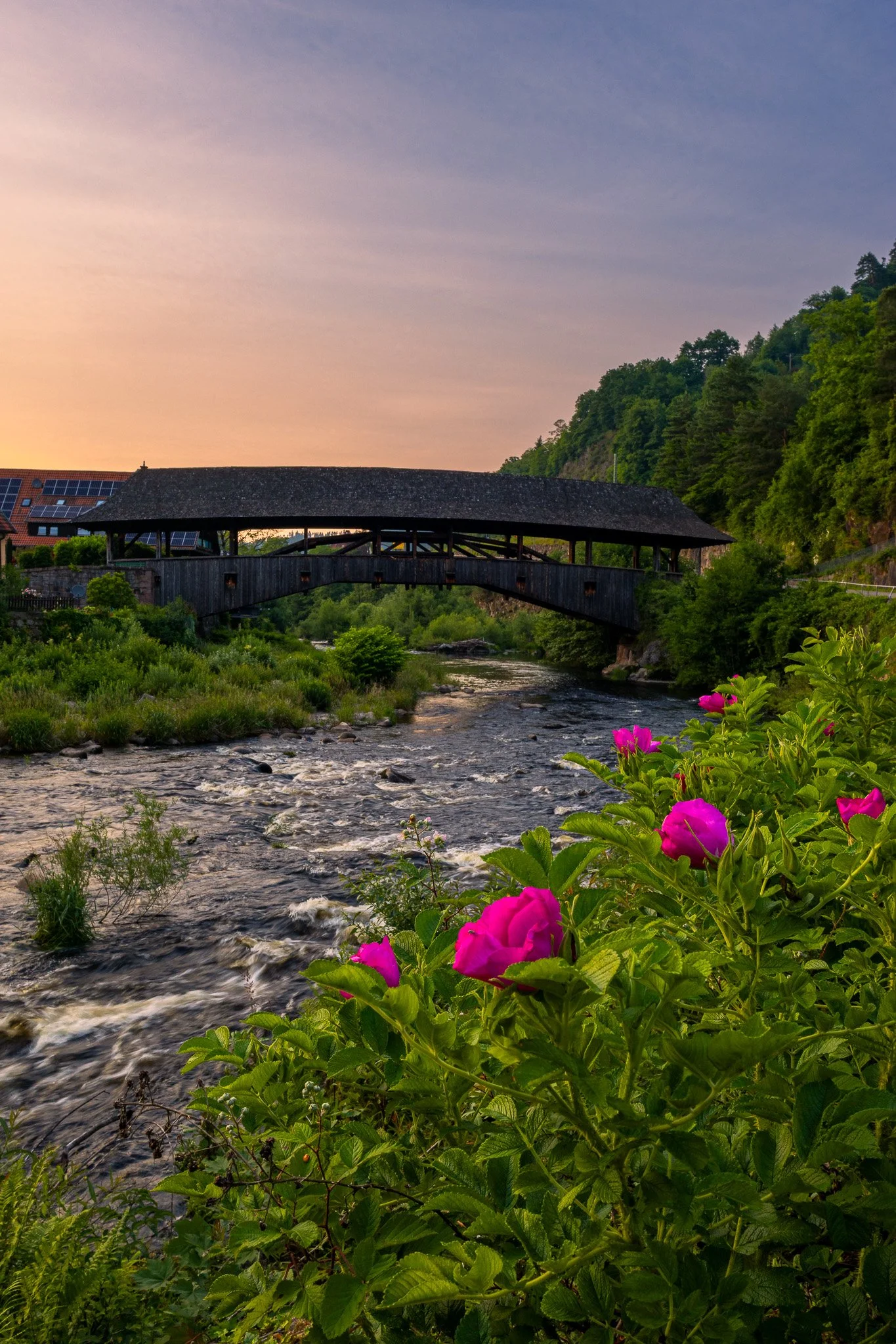 Blumen an der Holzbrücke 2 (Hochformat)