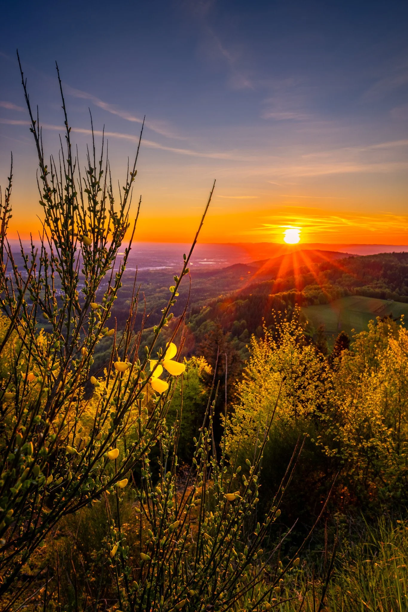 RY7A0086-HDR.jpg