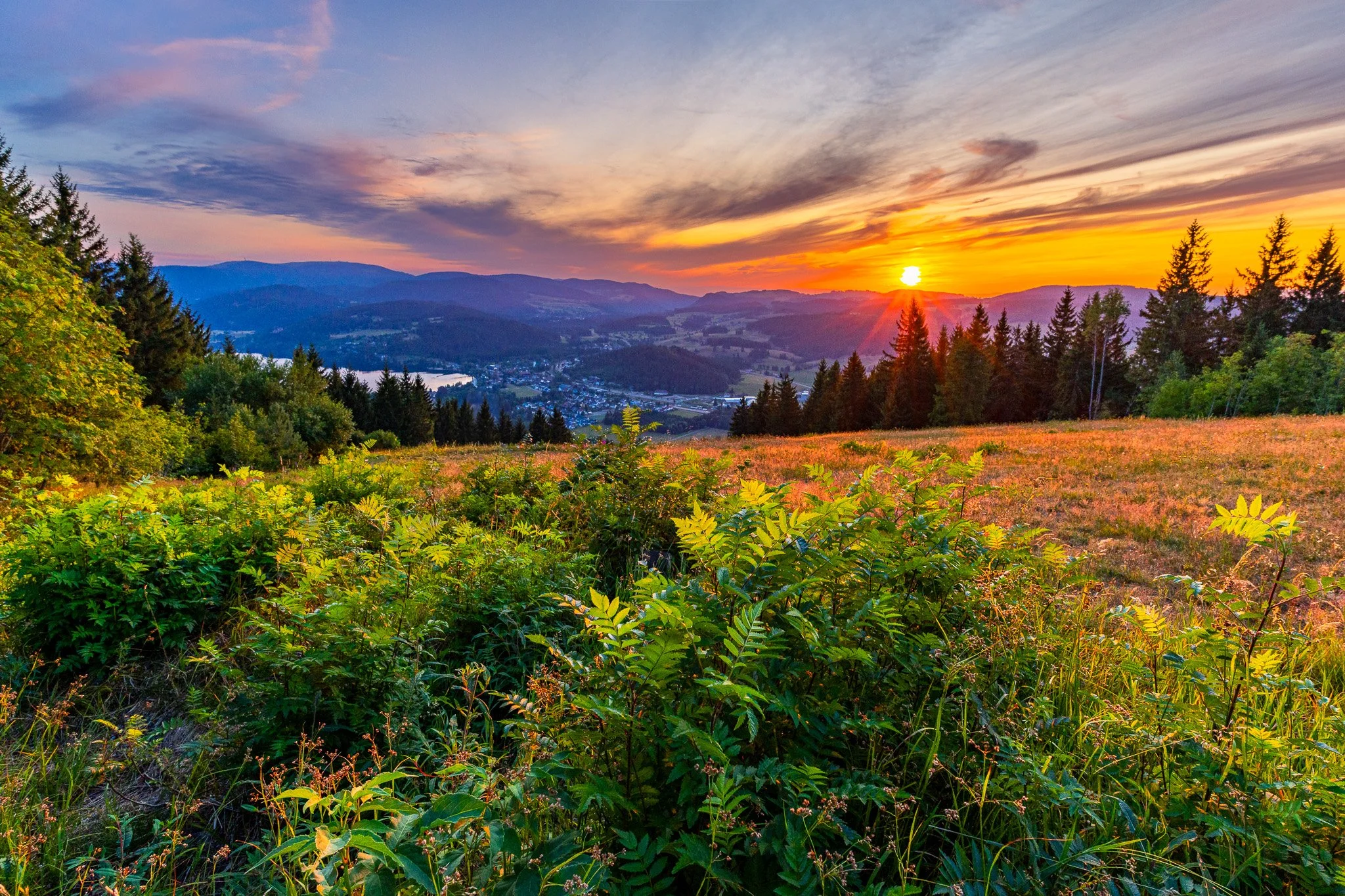 IMG_2903-HDR.jpg