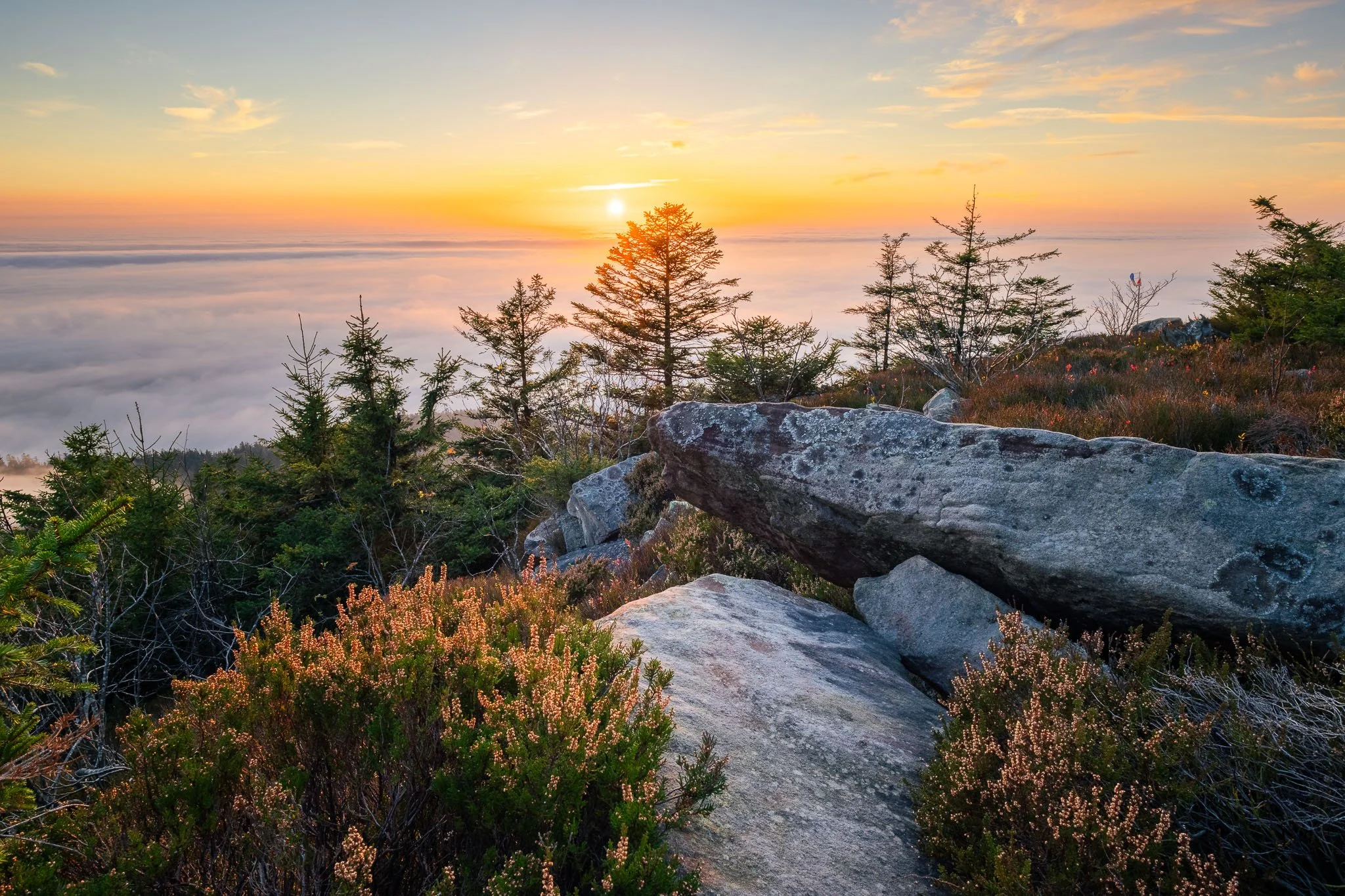RY7A1146-HDR.jpg