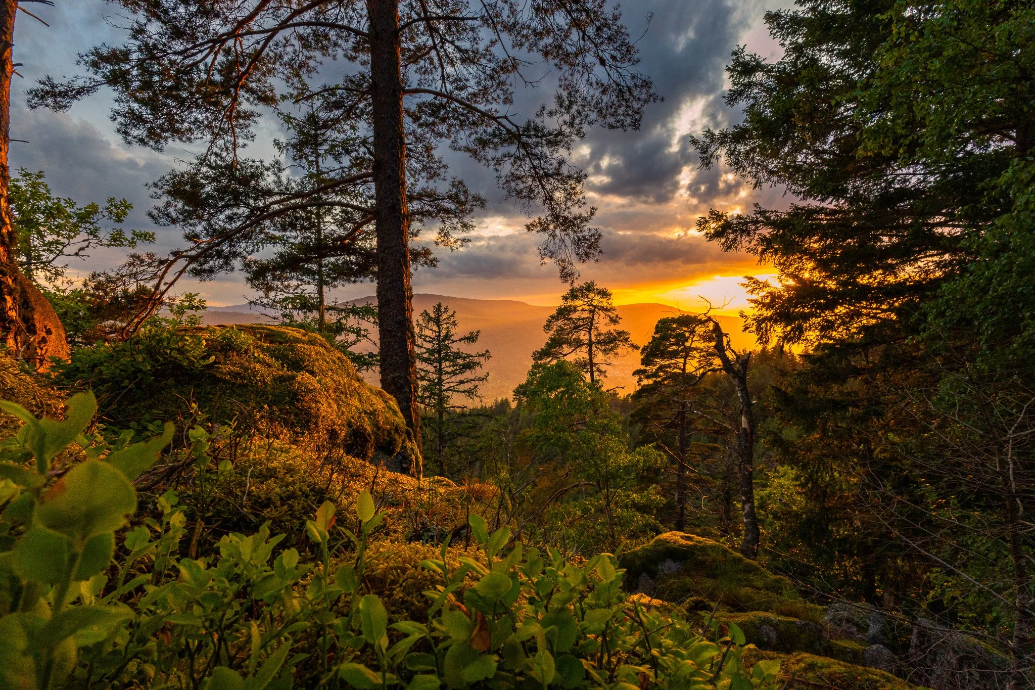 Sonnenuntergang mitten im Schwarzwald 2 (Querformat)