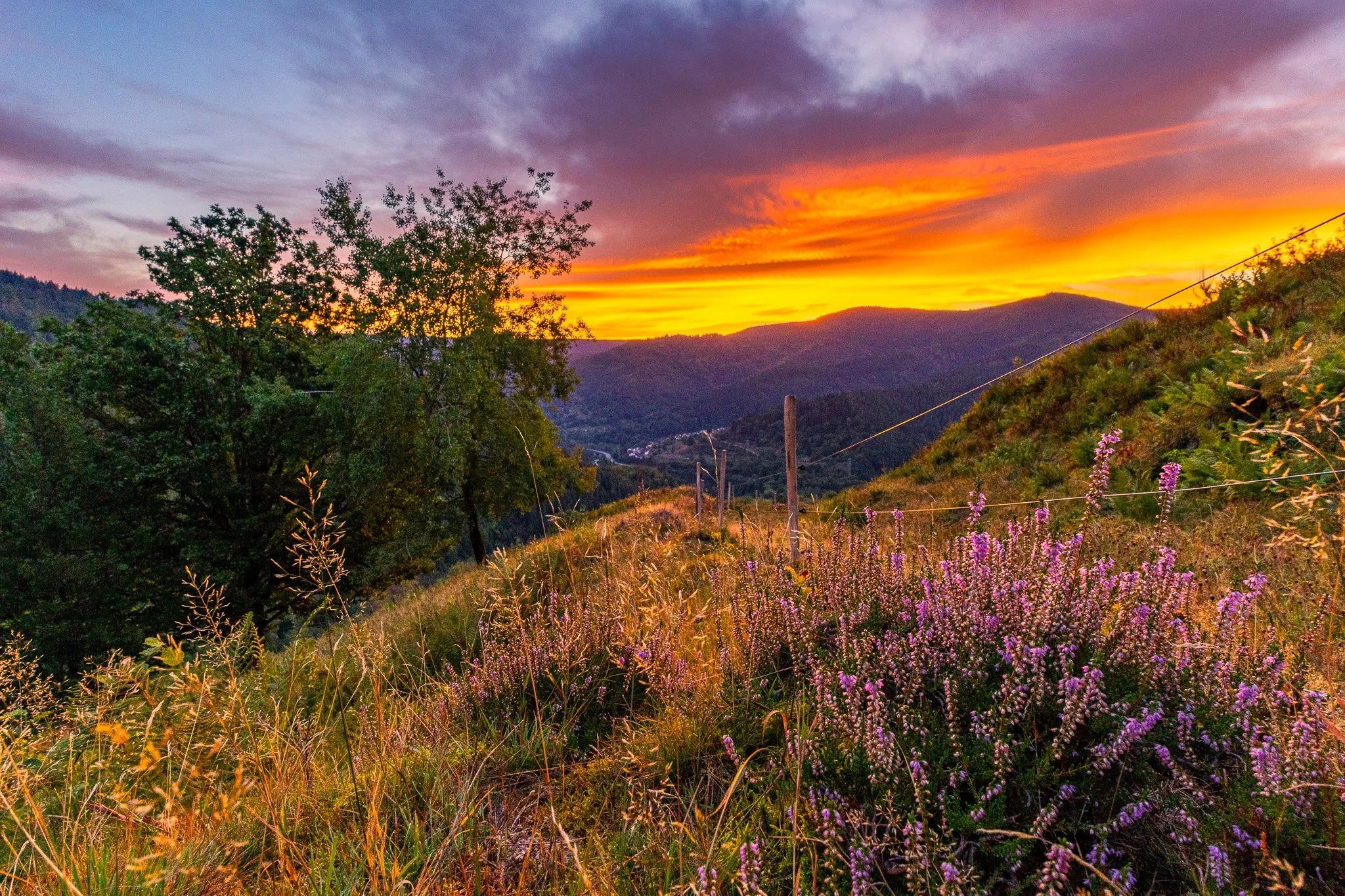 IMG_4803-HDR.jpg