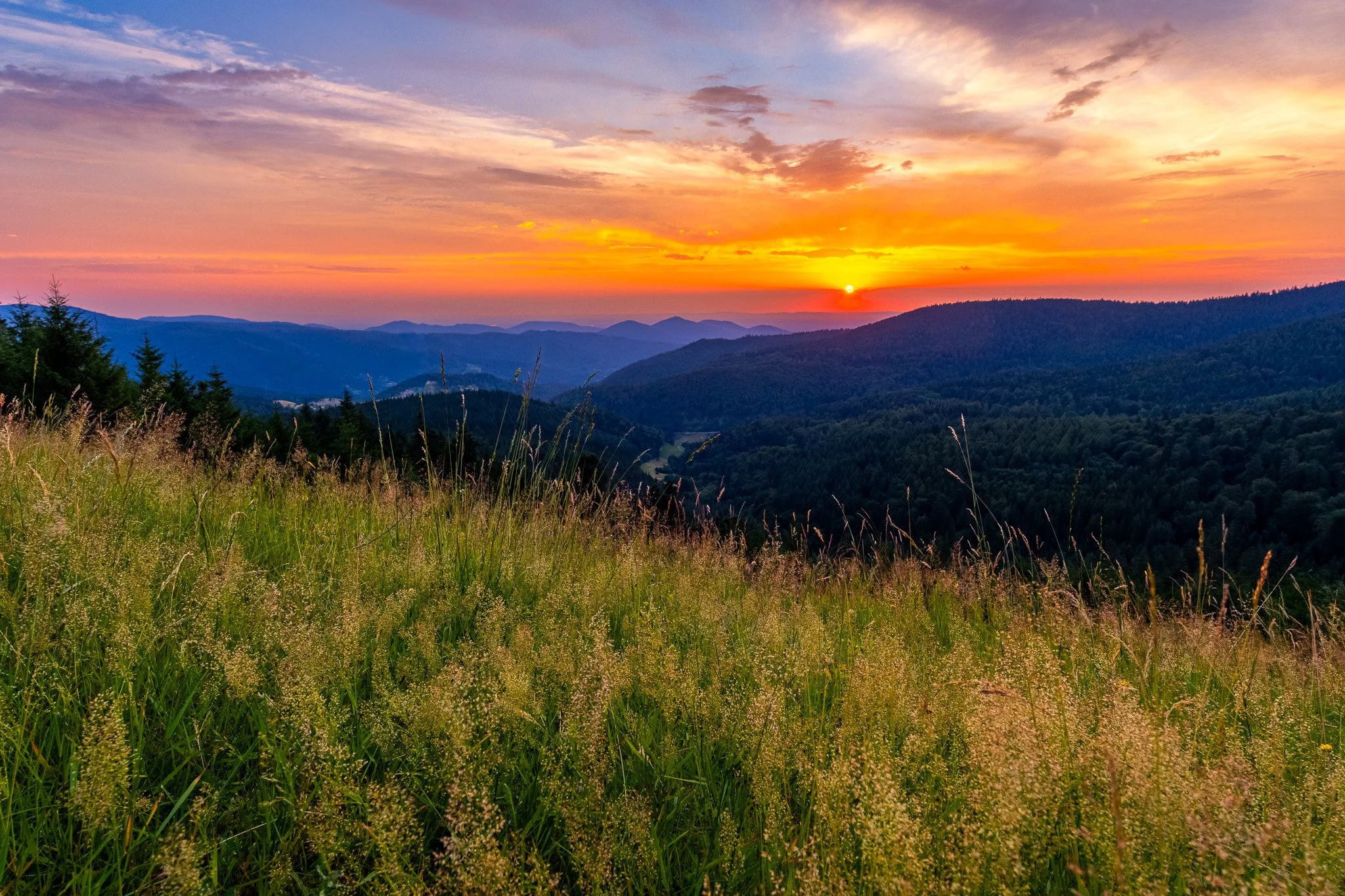 IMG_1578-HDR.jpg