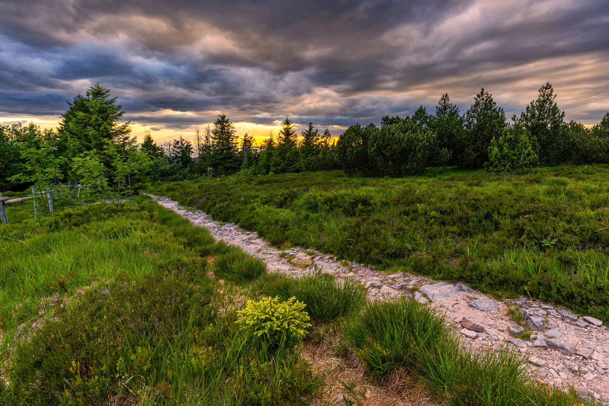 IMG_0872-HDR.jpg