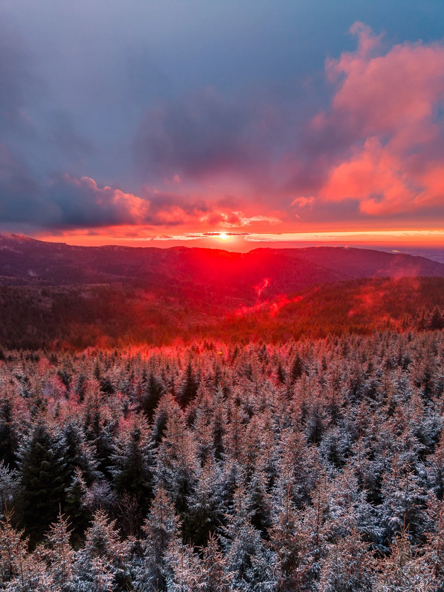 DJI_20260314183324_0437_D-HDR.jpg