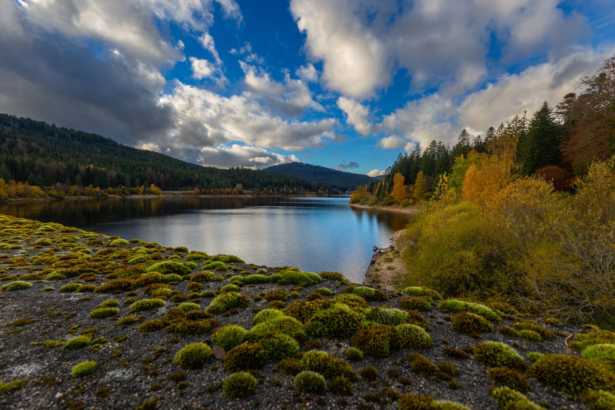 Herbst See (Querformat)