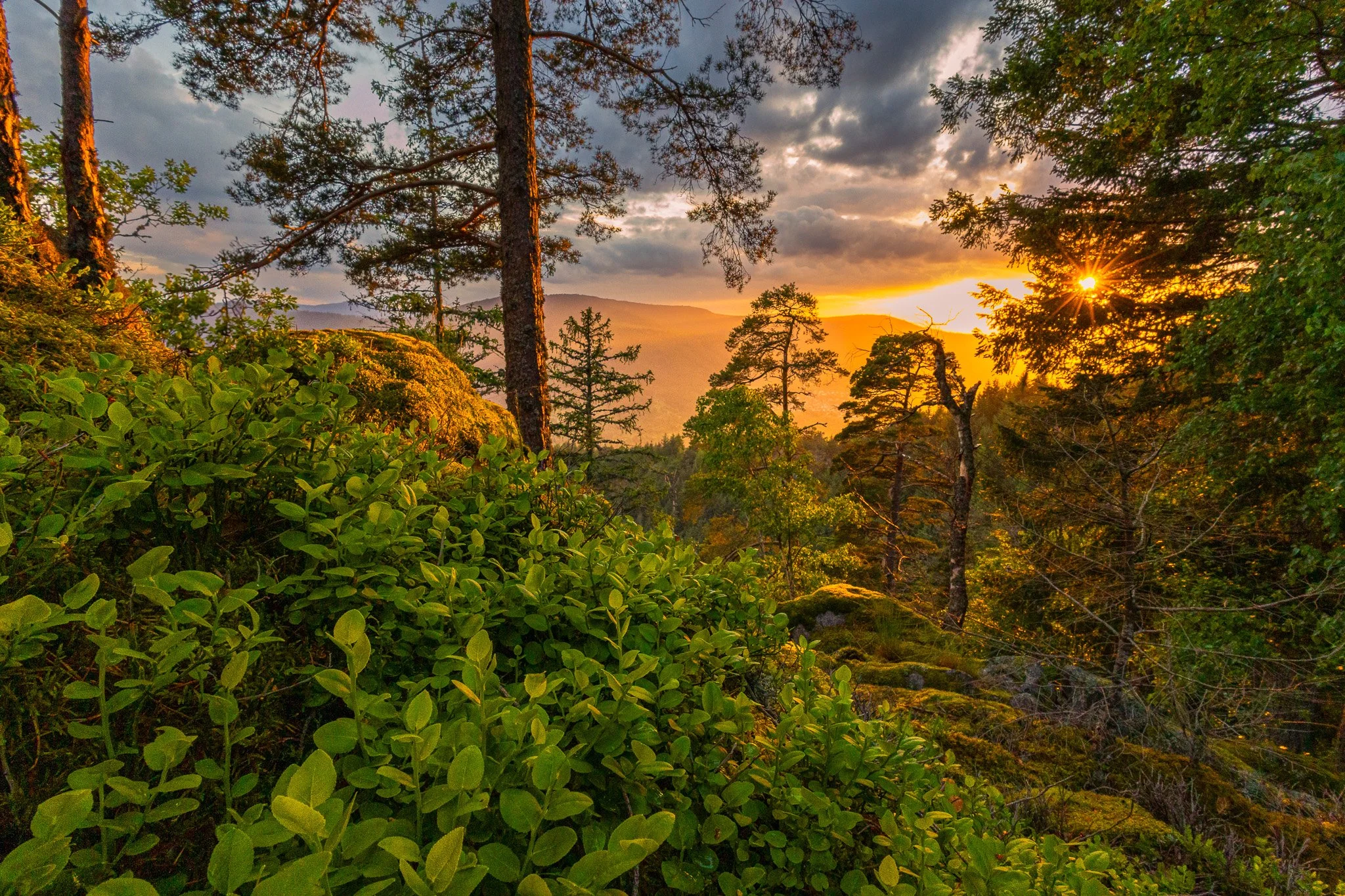 Sonnenuntergang mitten im Schwarzwald 1 (Querformat)