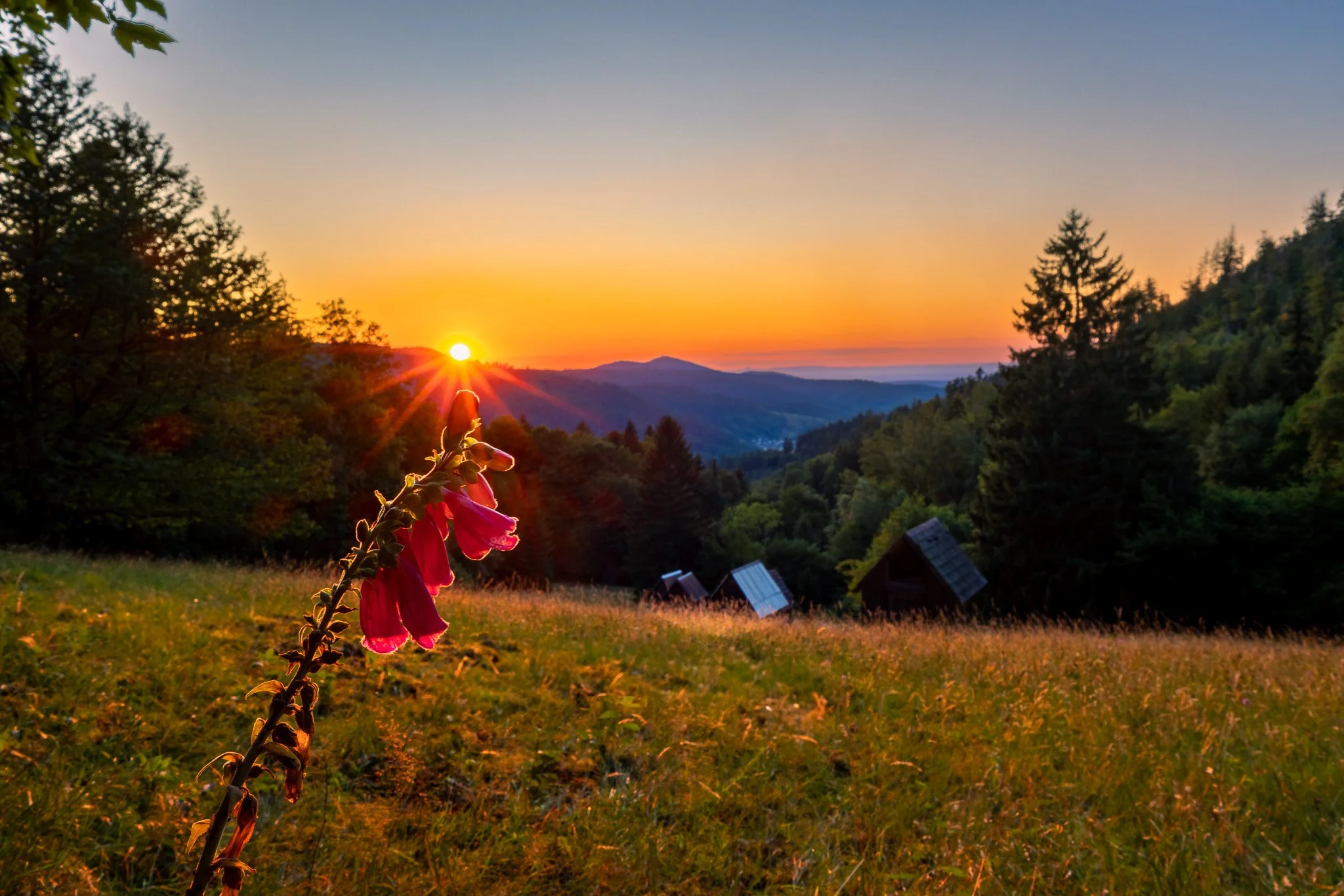 RY7A5555-HDR.jpg