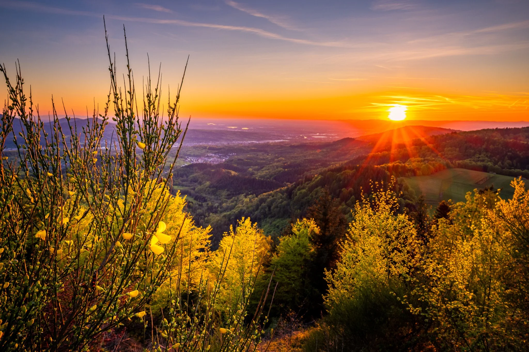 RY7A0083-HDR.jpg
