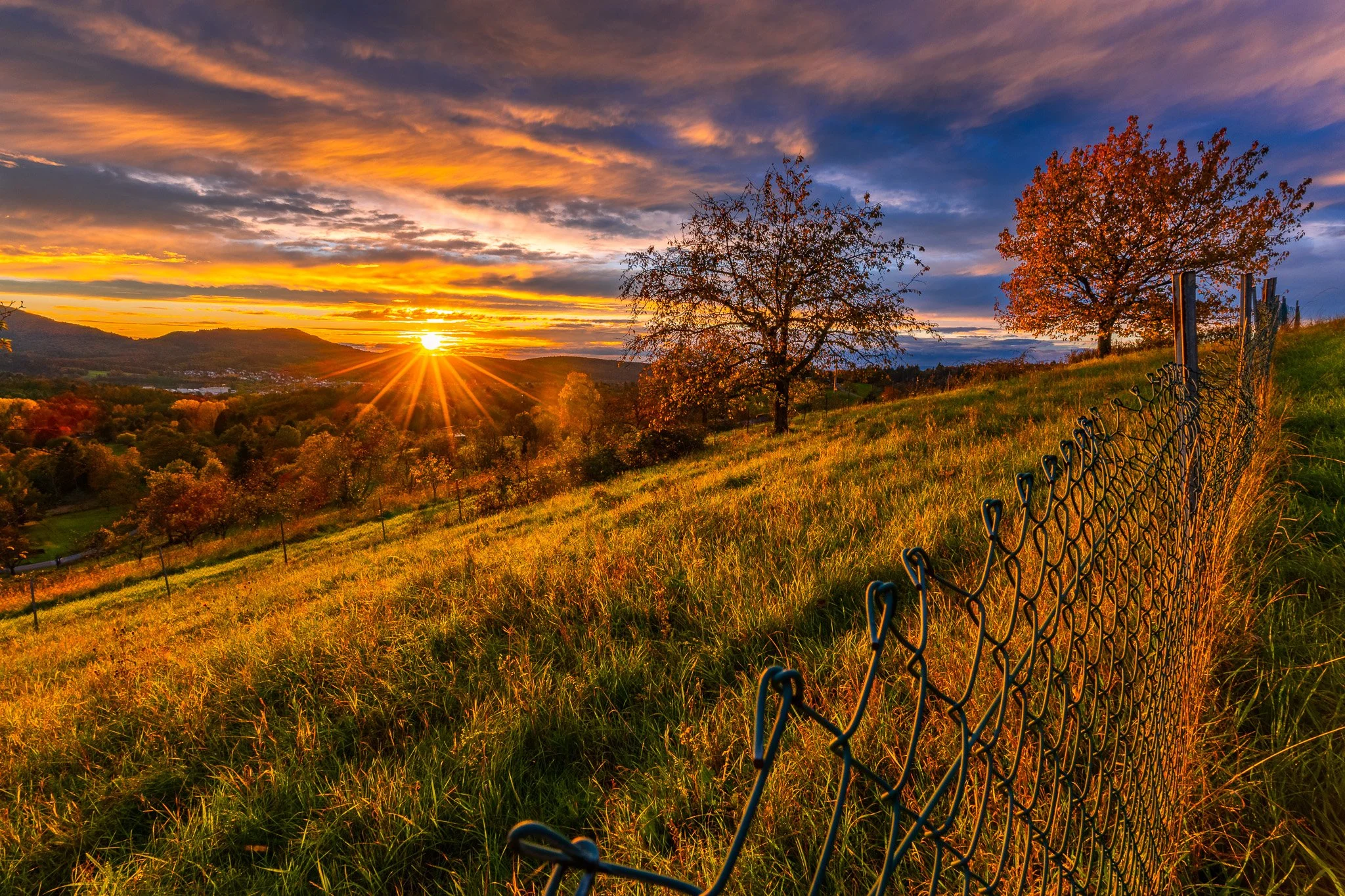 RY7A6446-HDR.jpg