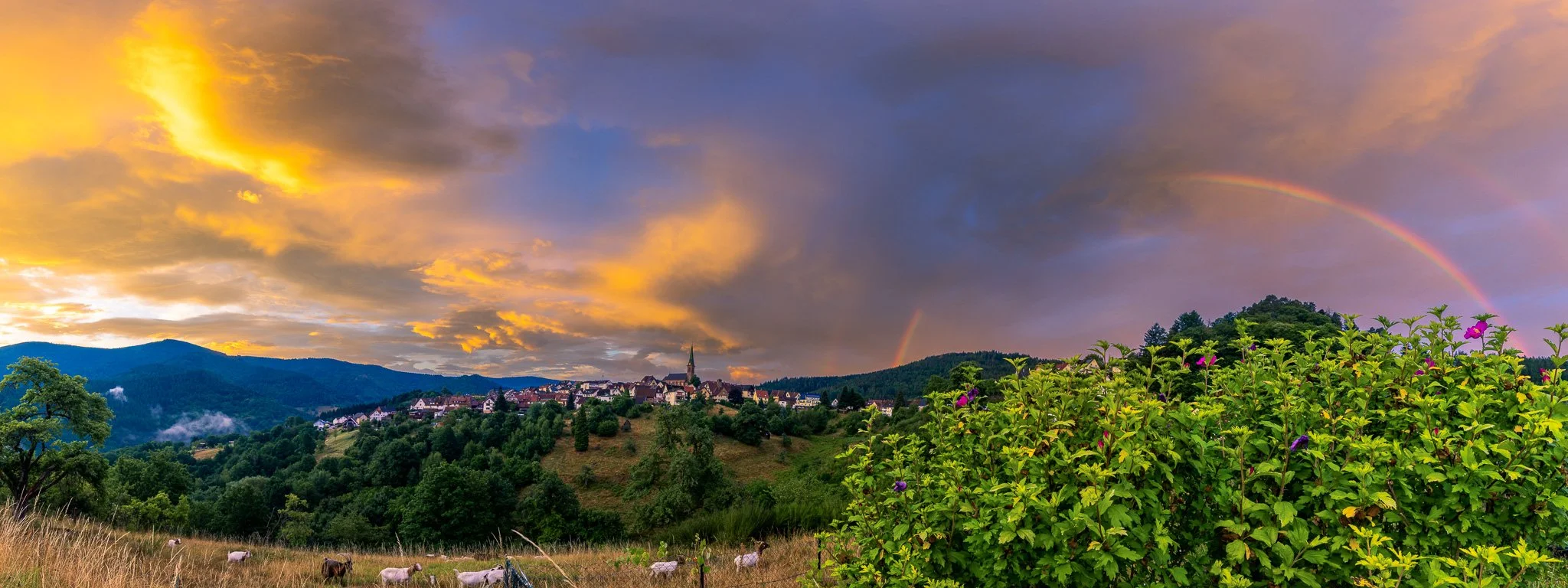 Goldenes Bermersbach - Panorama 2 (Querformat)