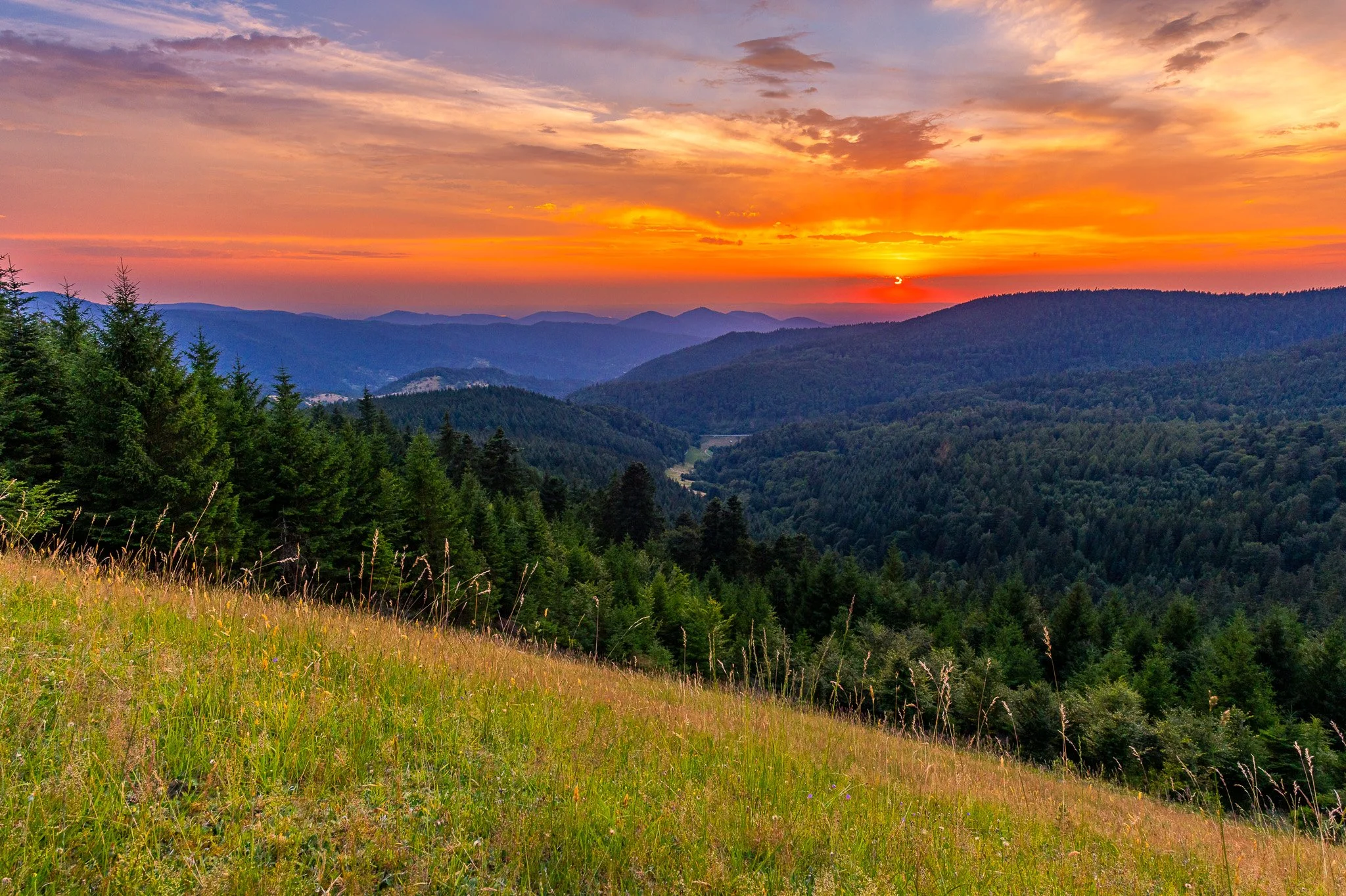 IMG_1593-HDR.jpg