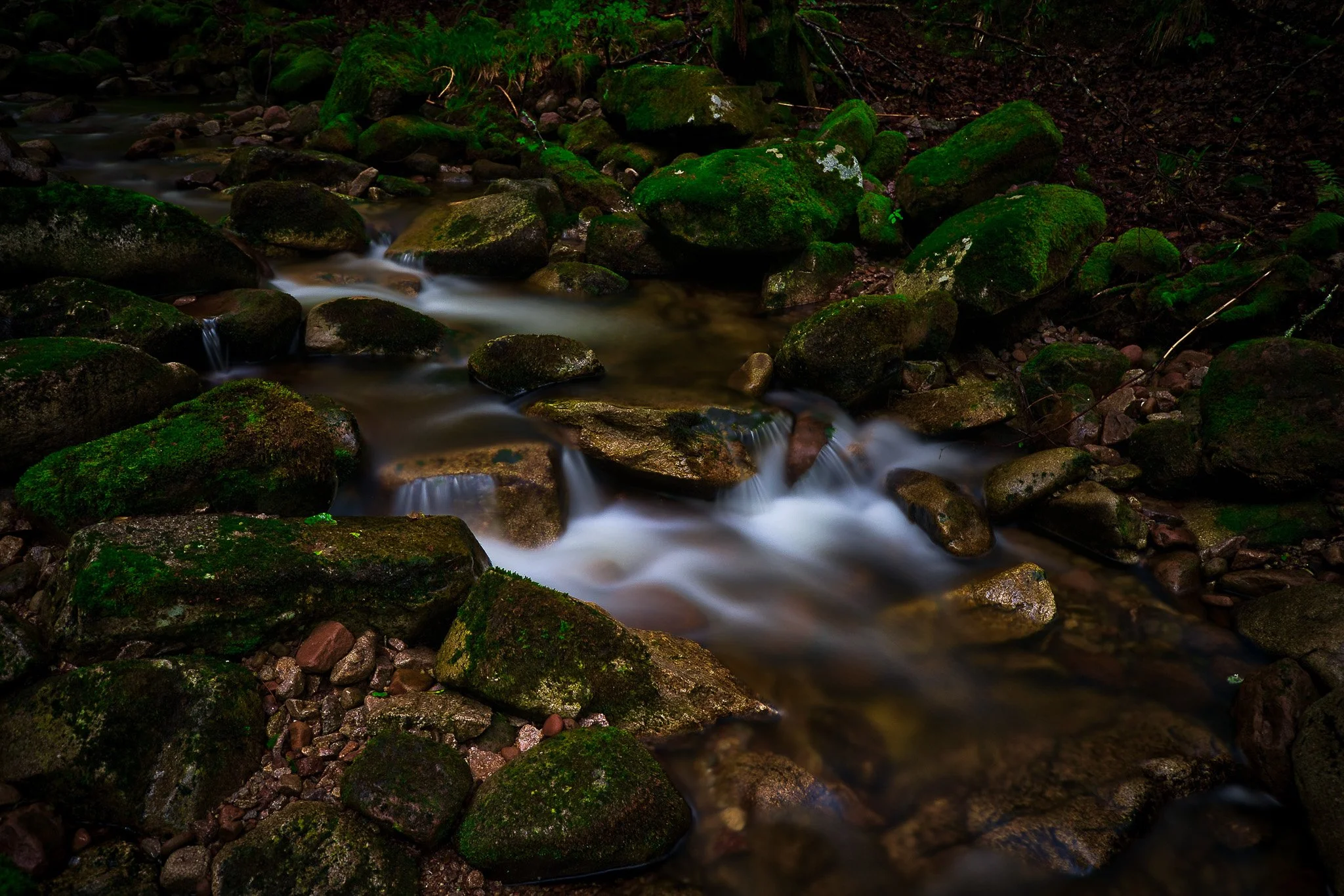 Wilder Bach (Querformat)