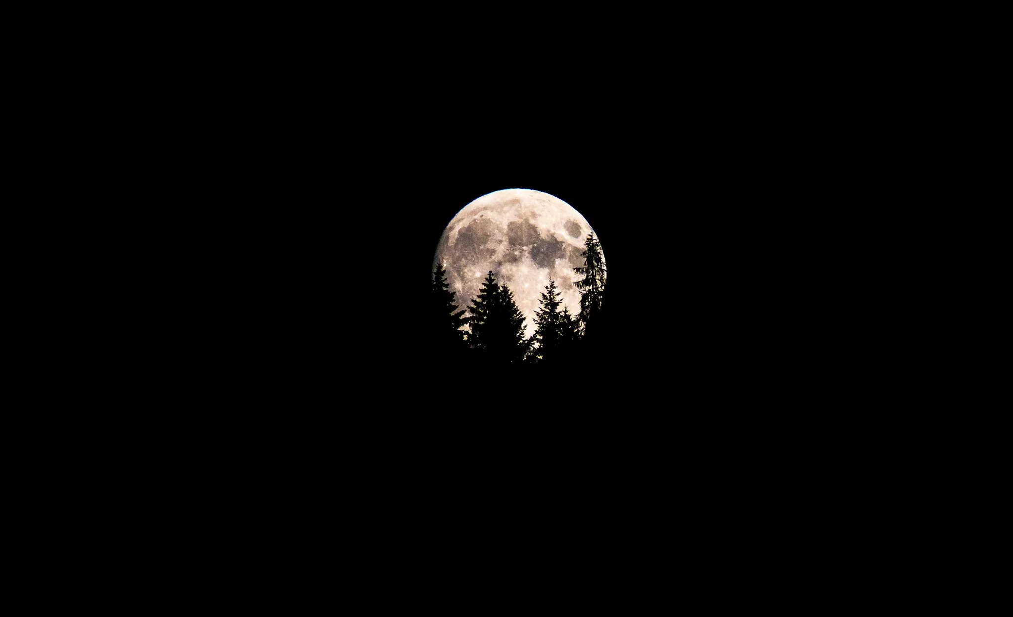Mond und Wald (Querformat)