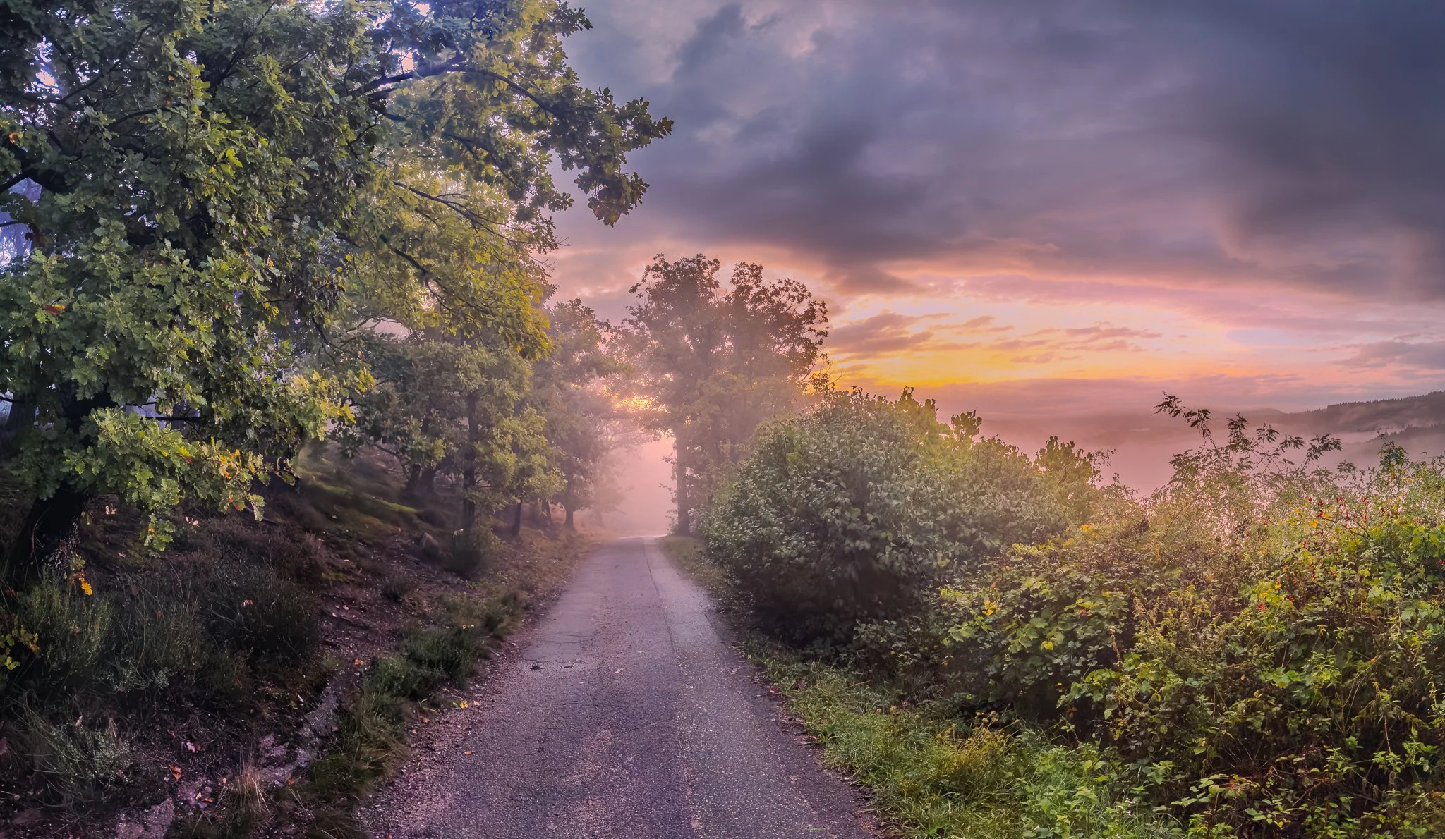 Nebel 1 - Panorama (Querformat)