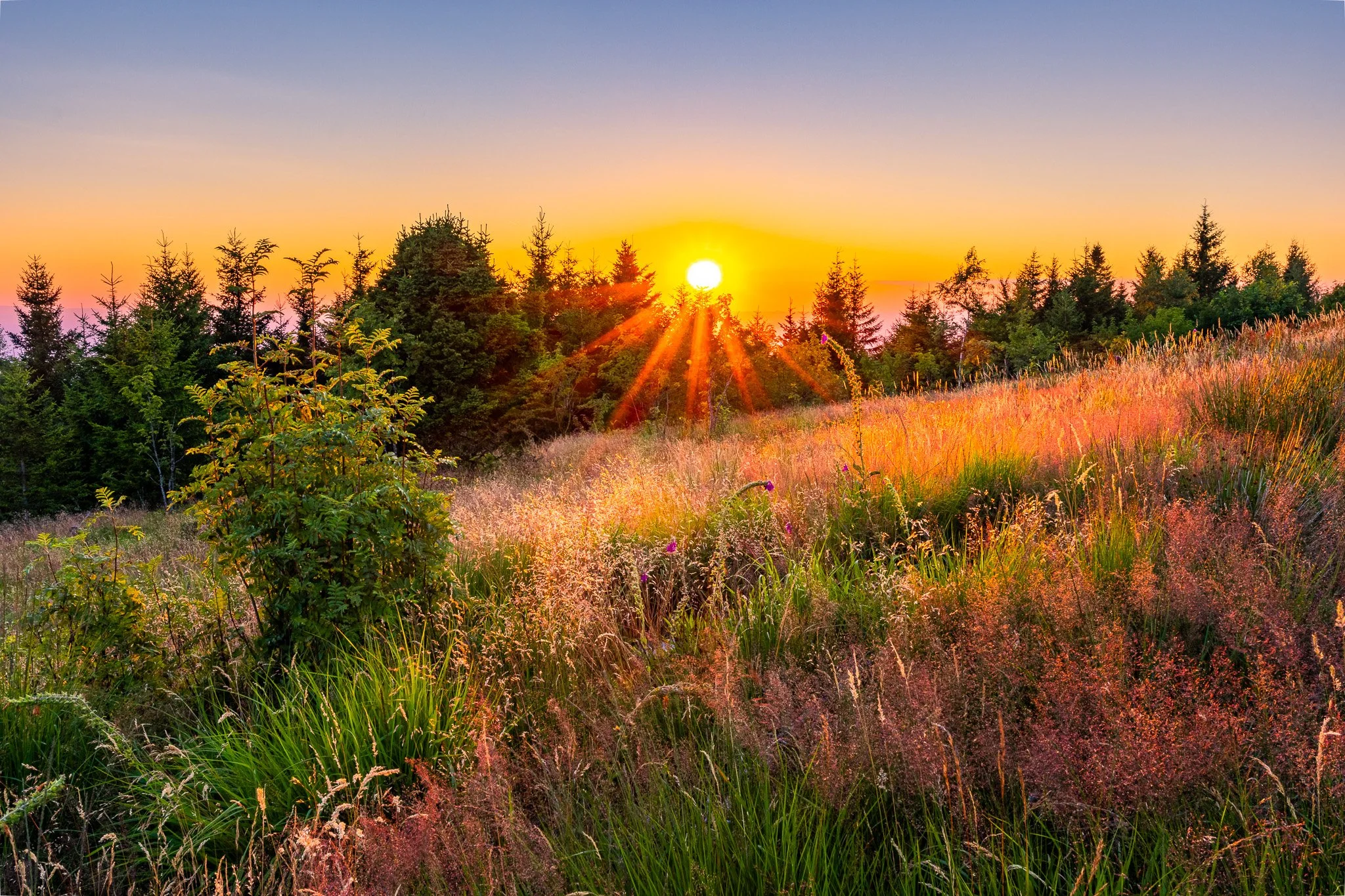 IMG_2293-HDR.jpg