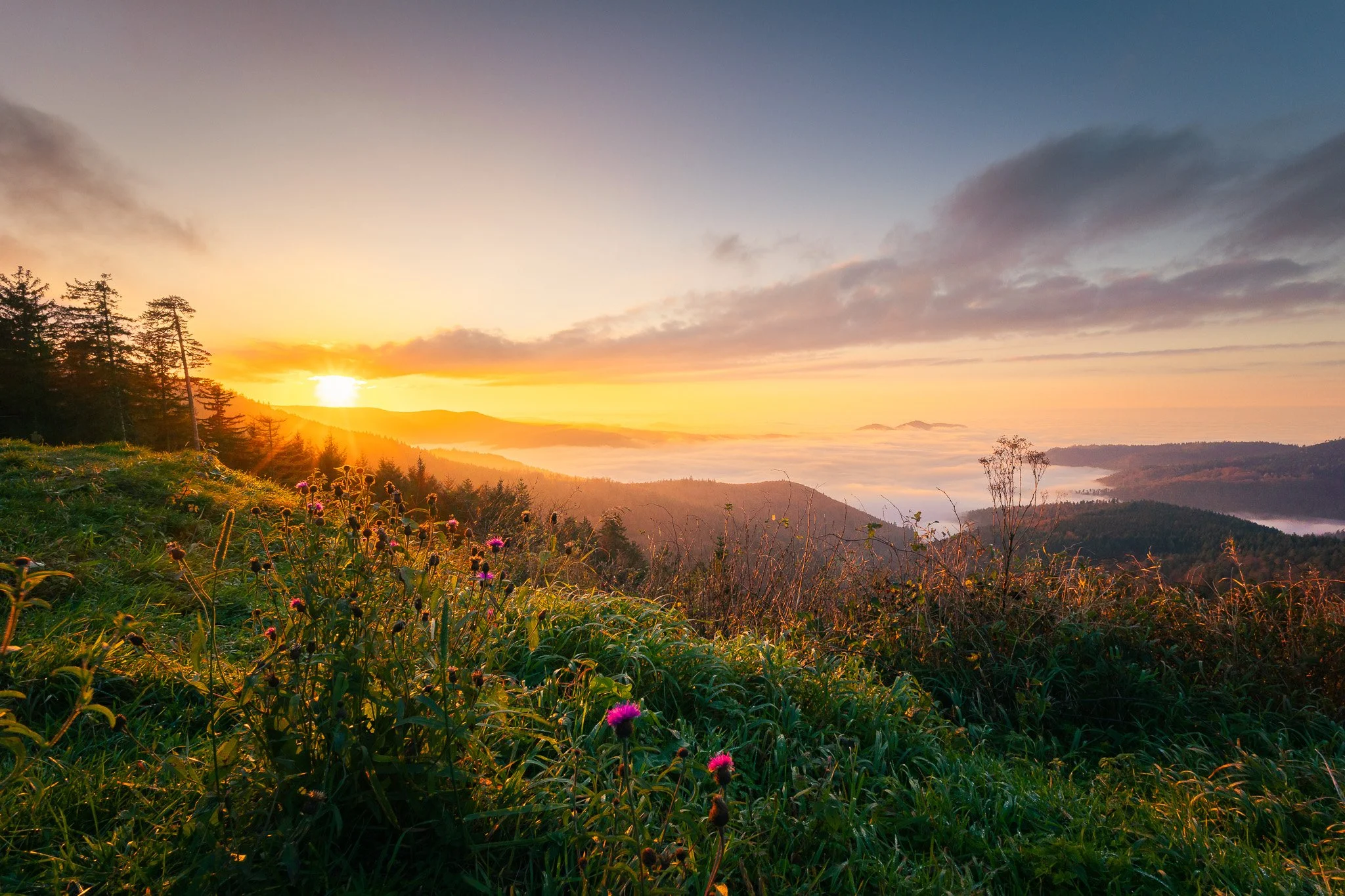 Blick ins Murgtal (Querformat)