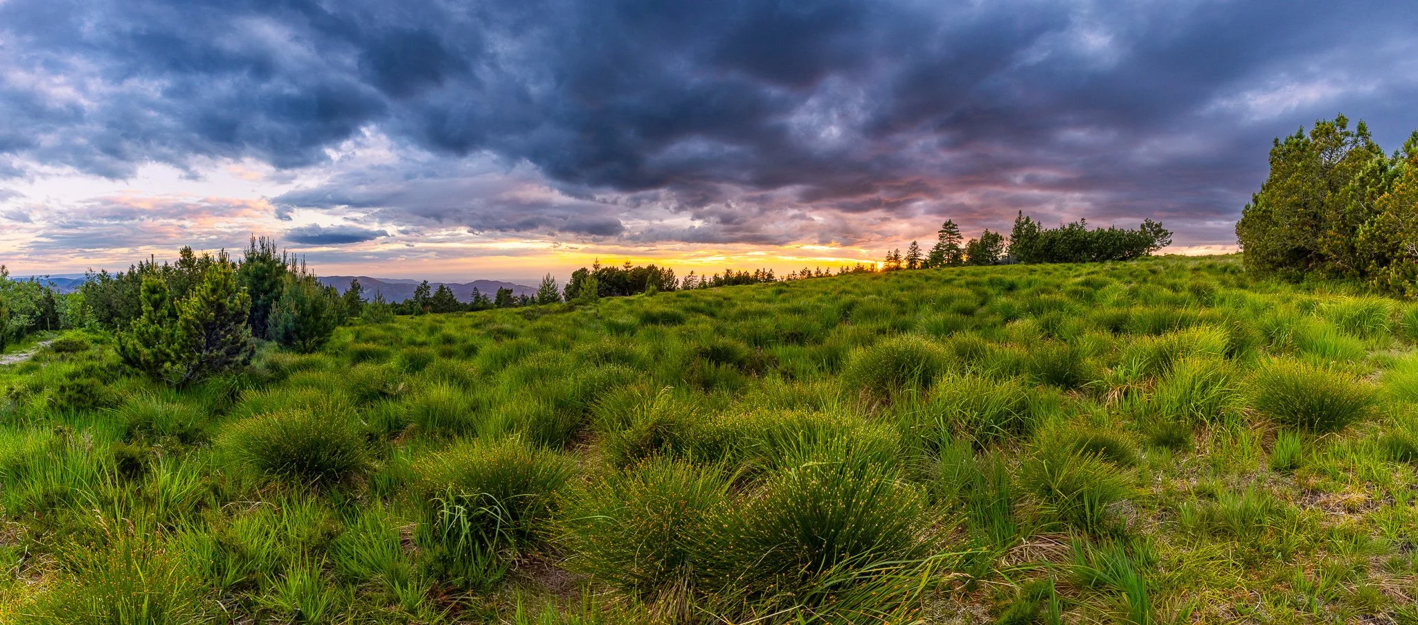 IMG_1025-HDR-Panorama.jpg