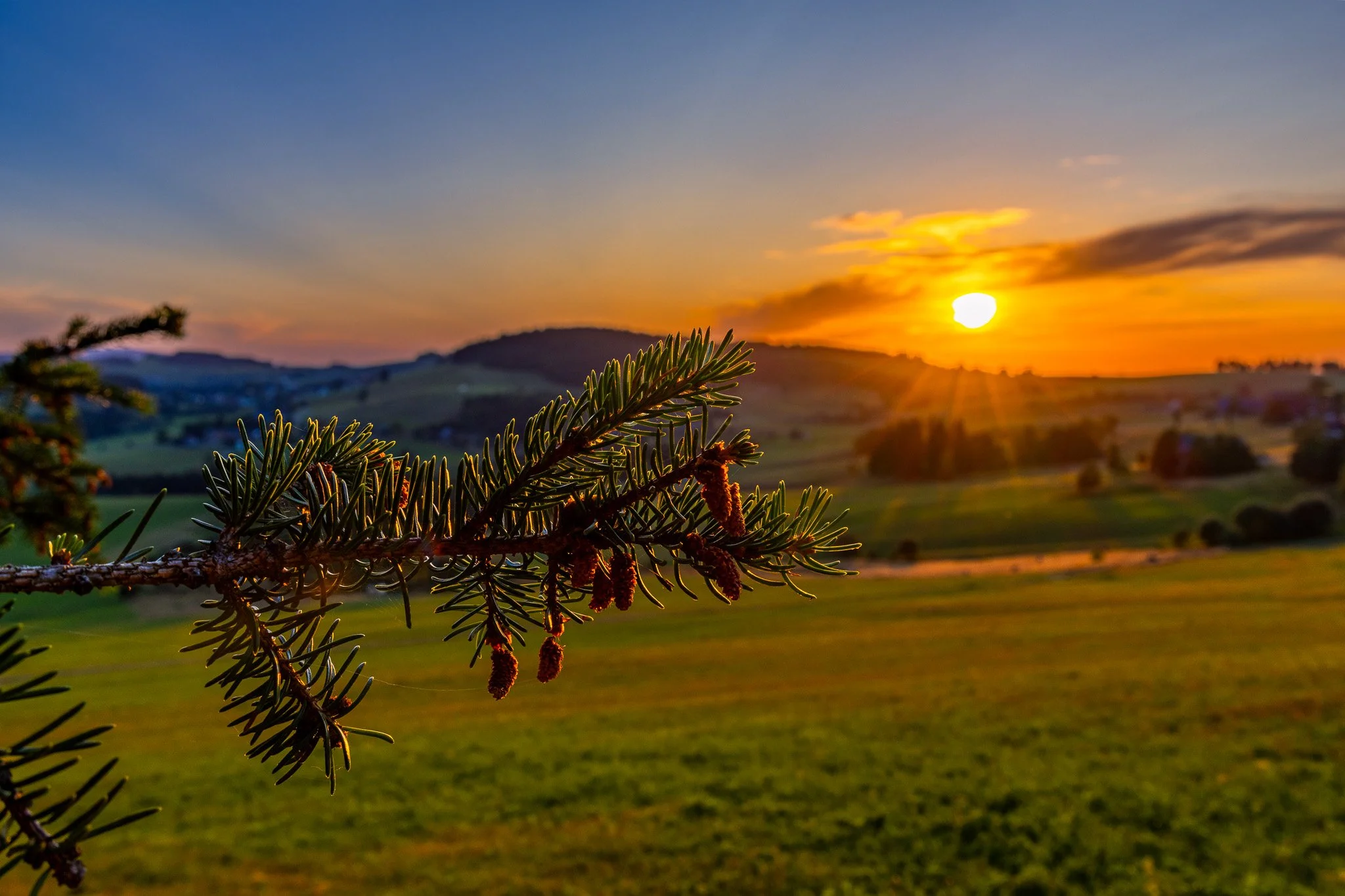 IMG_3032-HDR.jpg