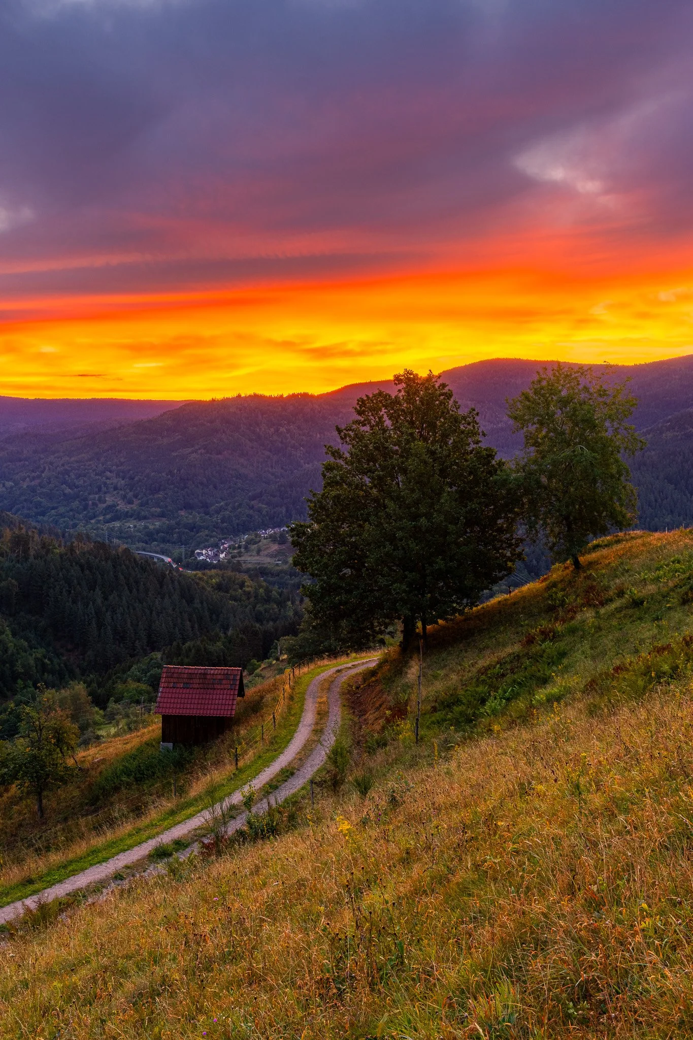 IMG_4728-HDR.jpg