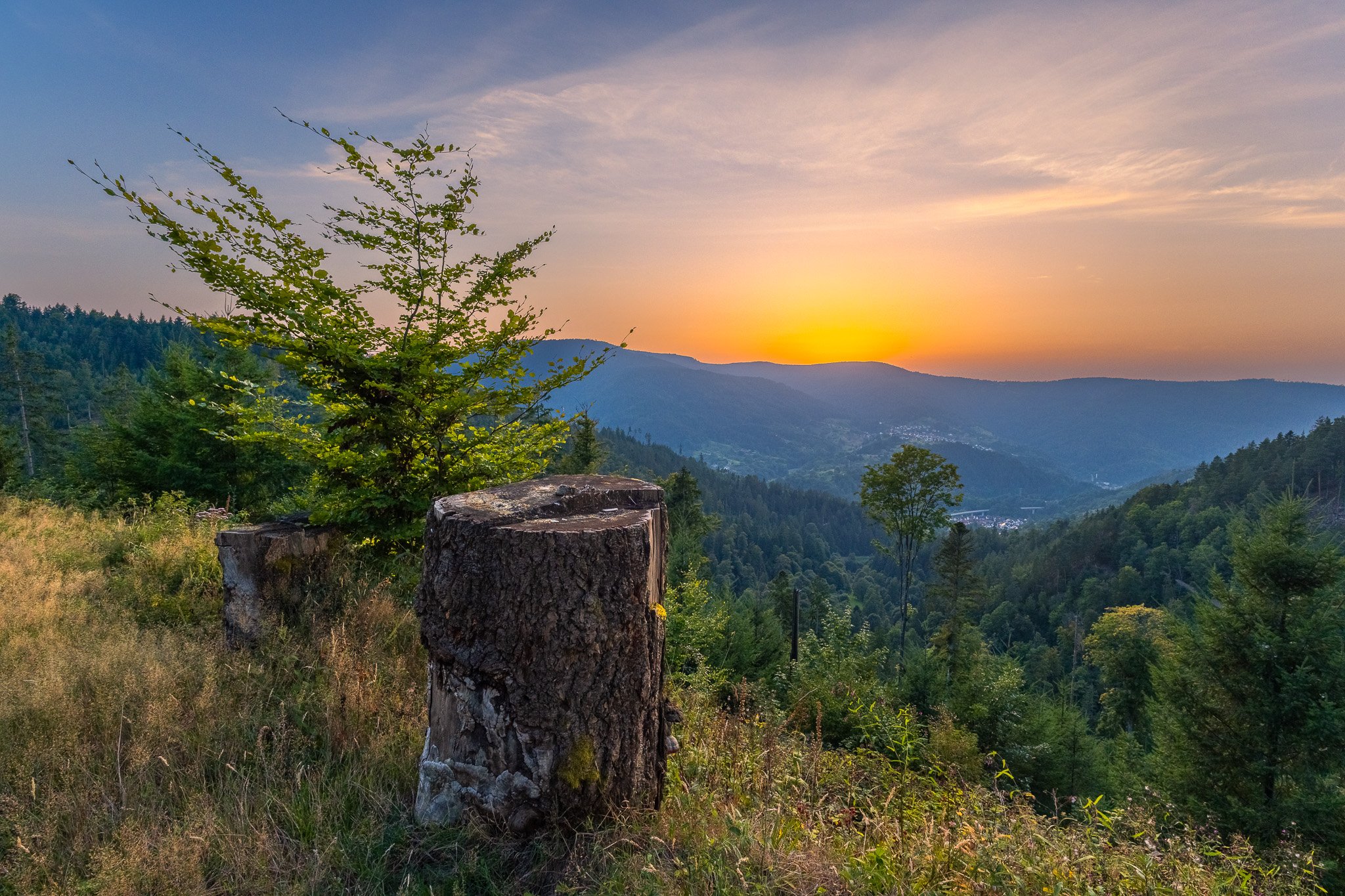 RY7A5726-HDR.jpg