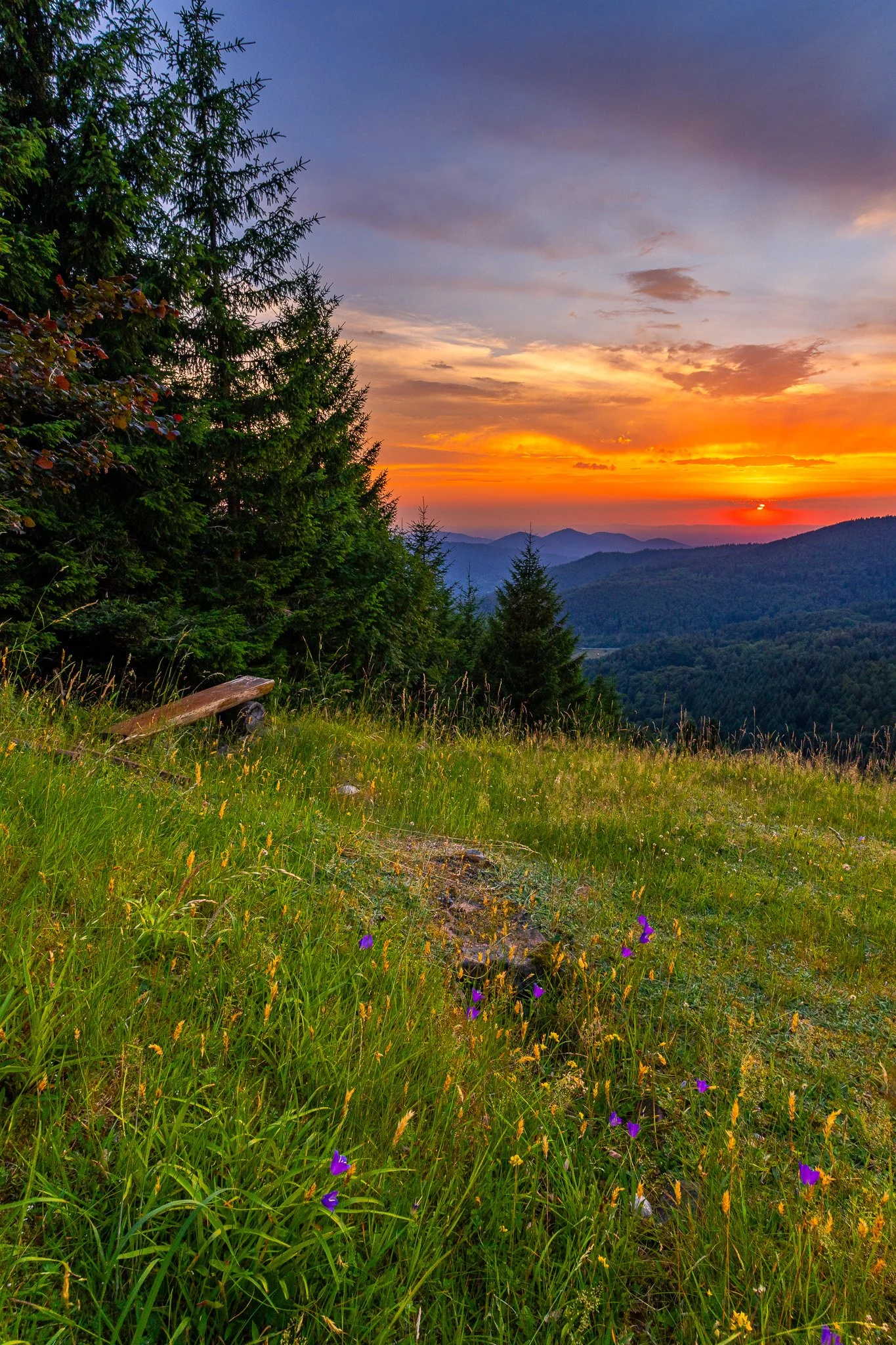 IMG_1602-HDR.jpg